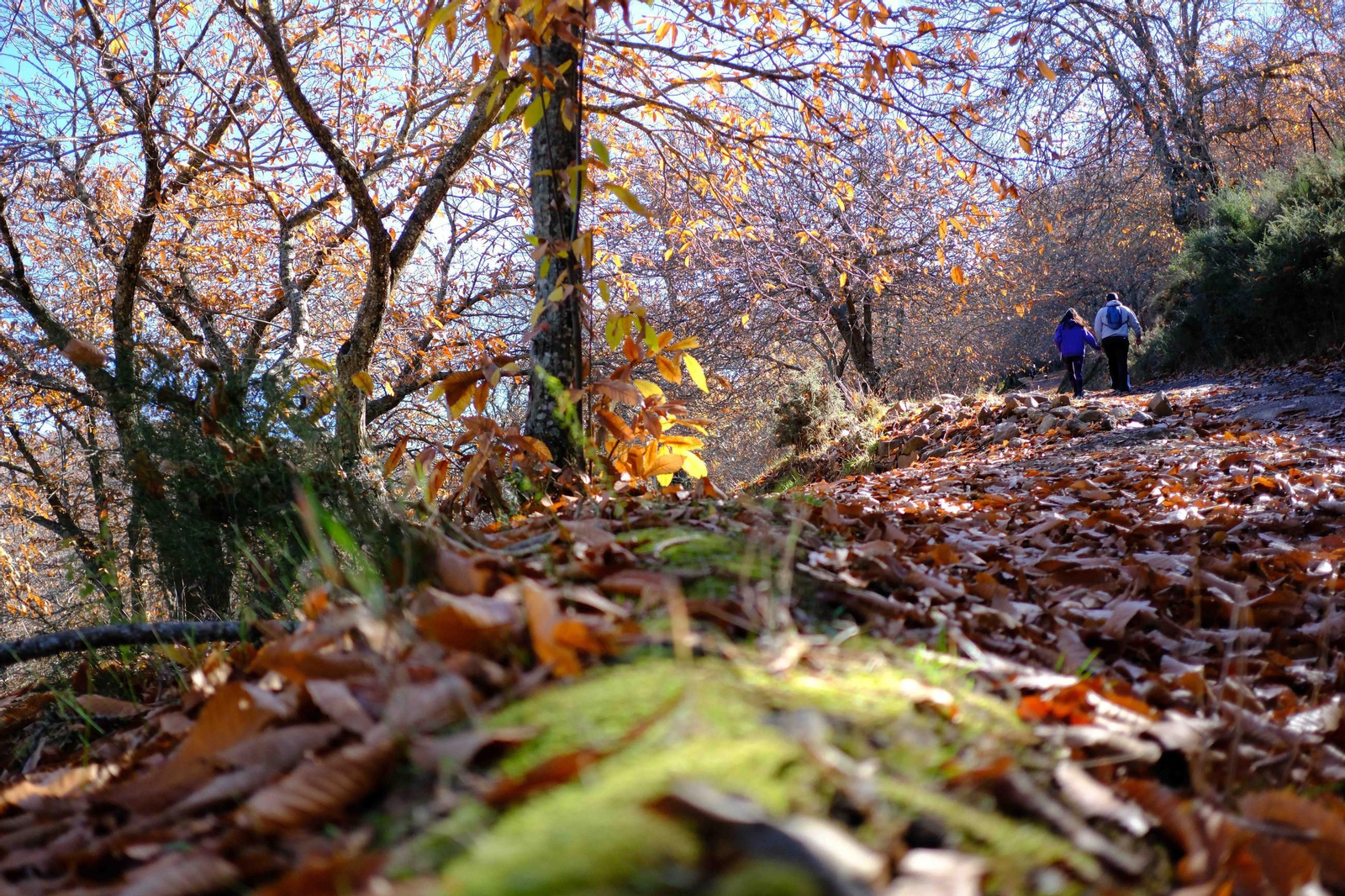 Visitantes en las proximidades de Pujerra.