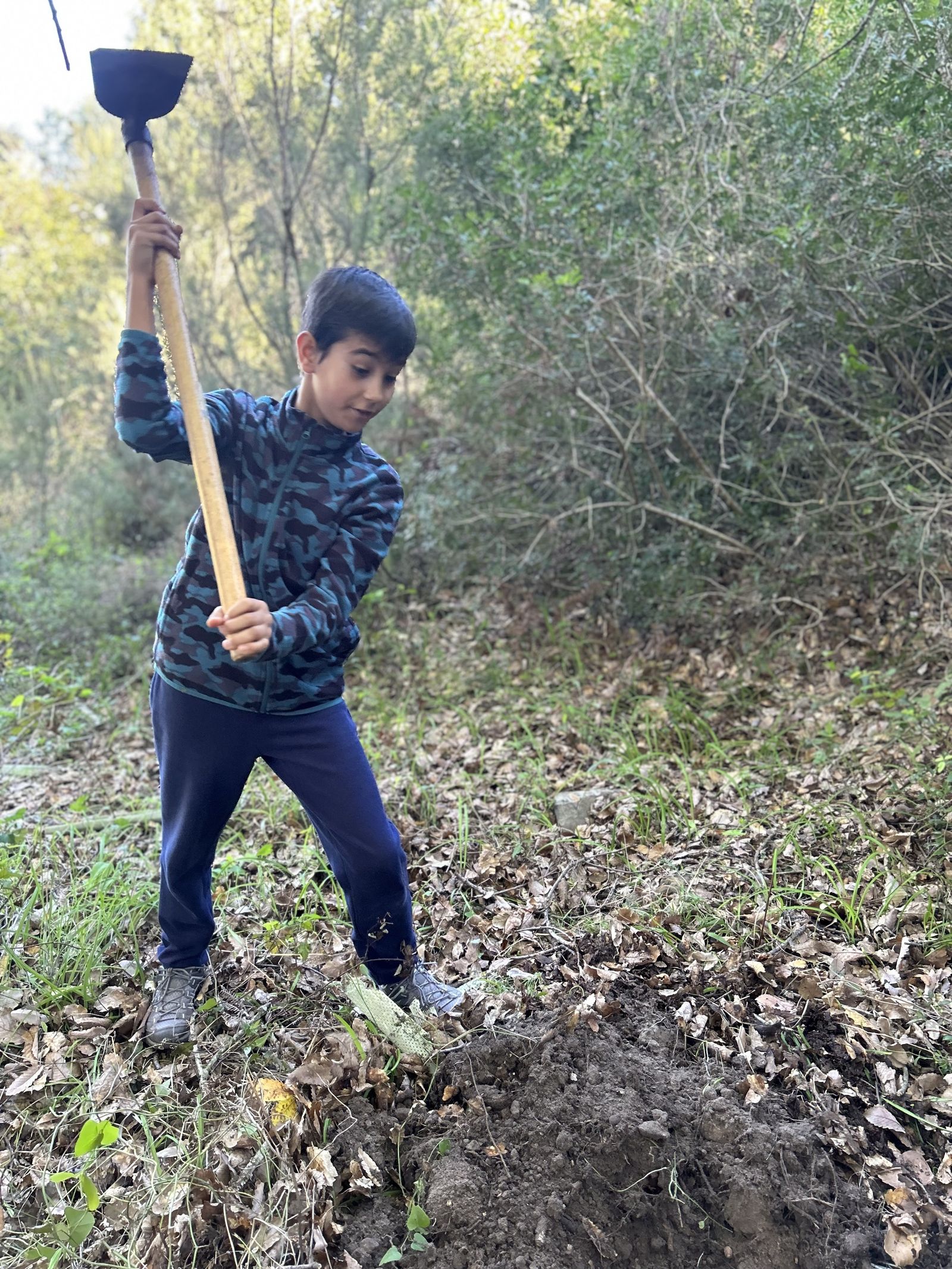 Jornada de reforestación en El Palancar por trabajadores de Acerinox, en imágenes