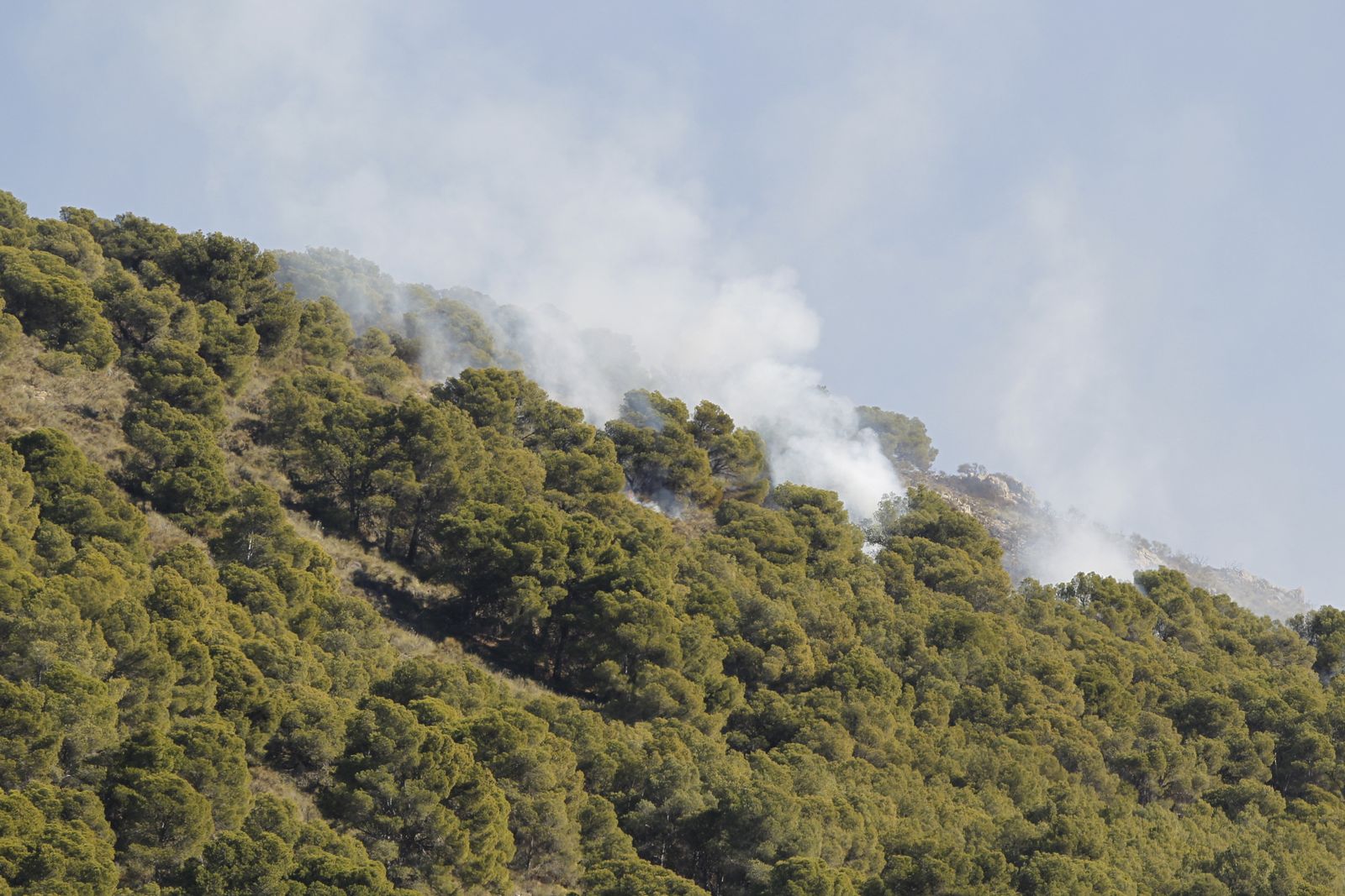 Fotogalería incendio forestal de Castala, Berja y Dalías.