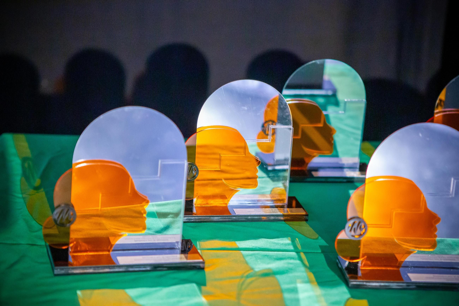 Imágenes de la IV Gala de la Mujer de la Mancomunidad del Bajo Andarax