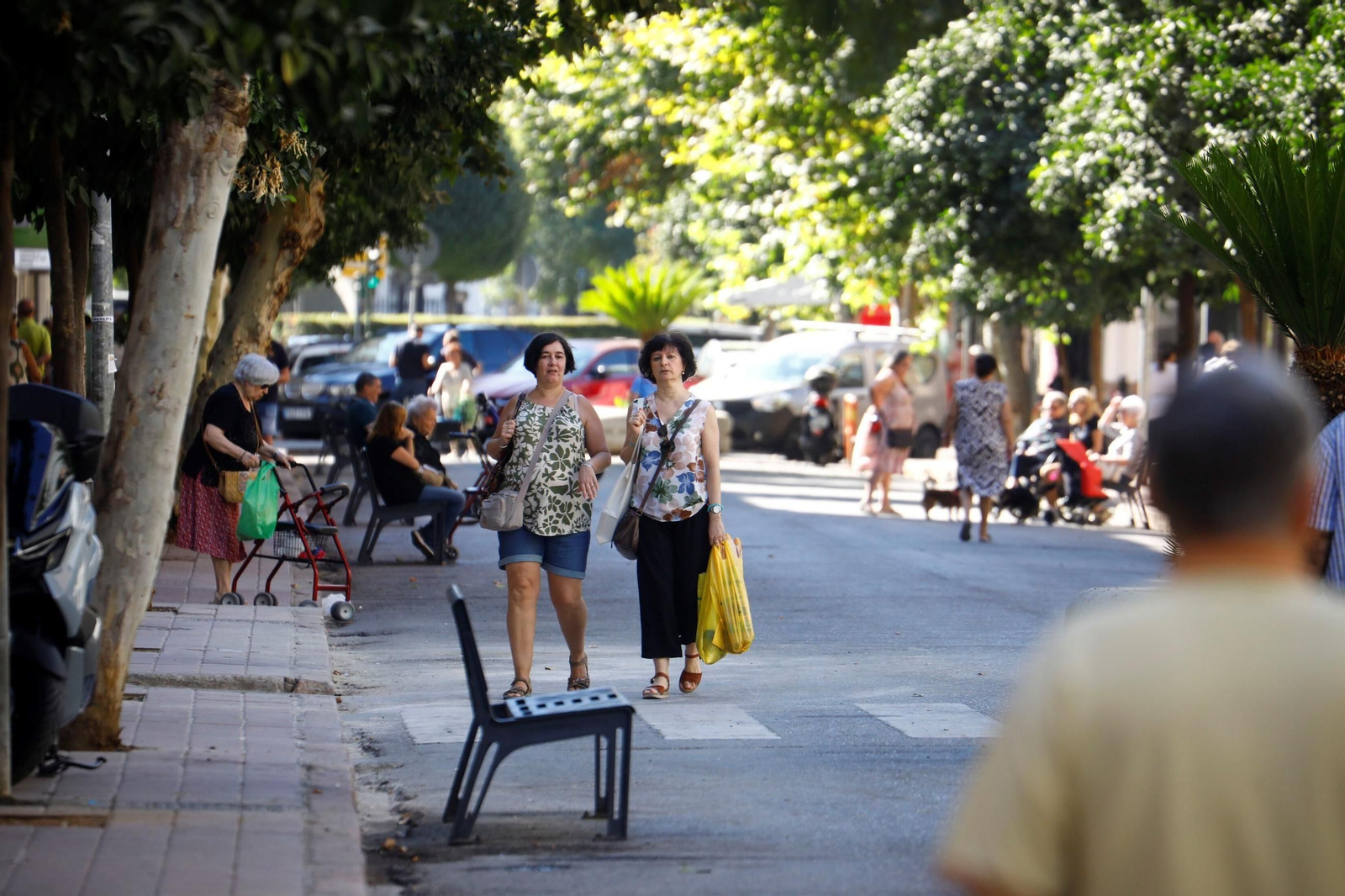 Las imágenes del inicio de las obras de reforma de La Viñuela