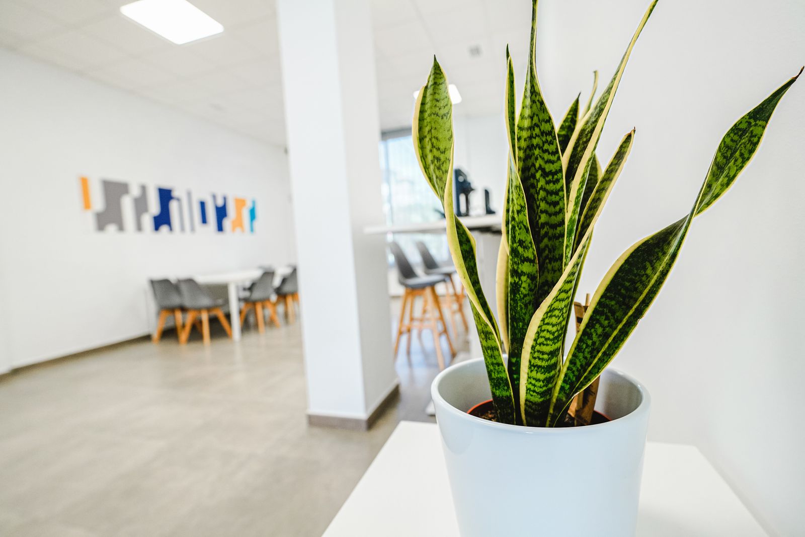 El nuevo Centro de Emprendimiento e Innovación Impulsa 10 de Pozoblanco, en fotografías