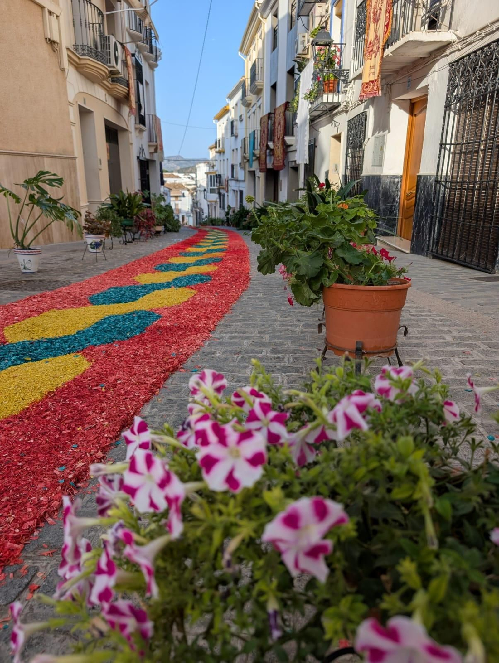 Alfombras del Corpus en Carcabuey Alfombras del Corpus en Carcabuey