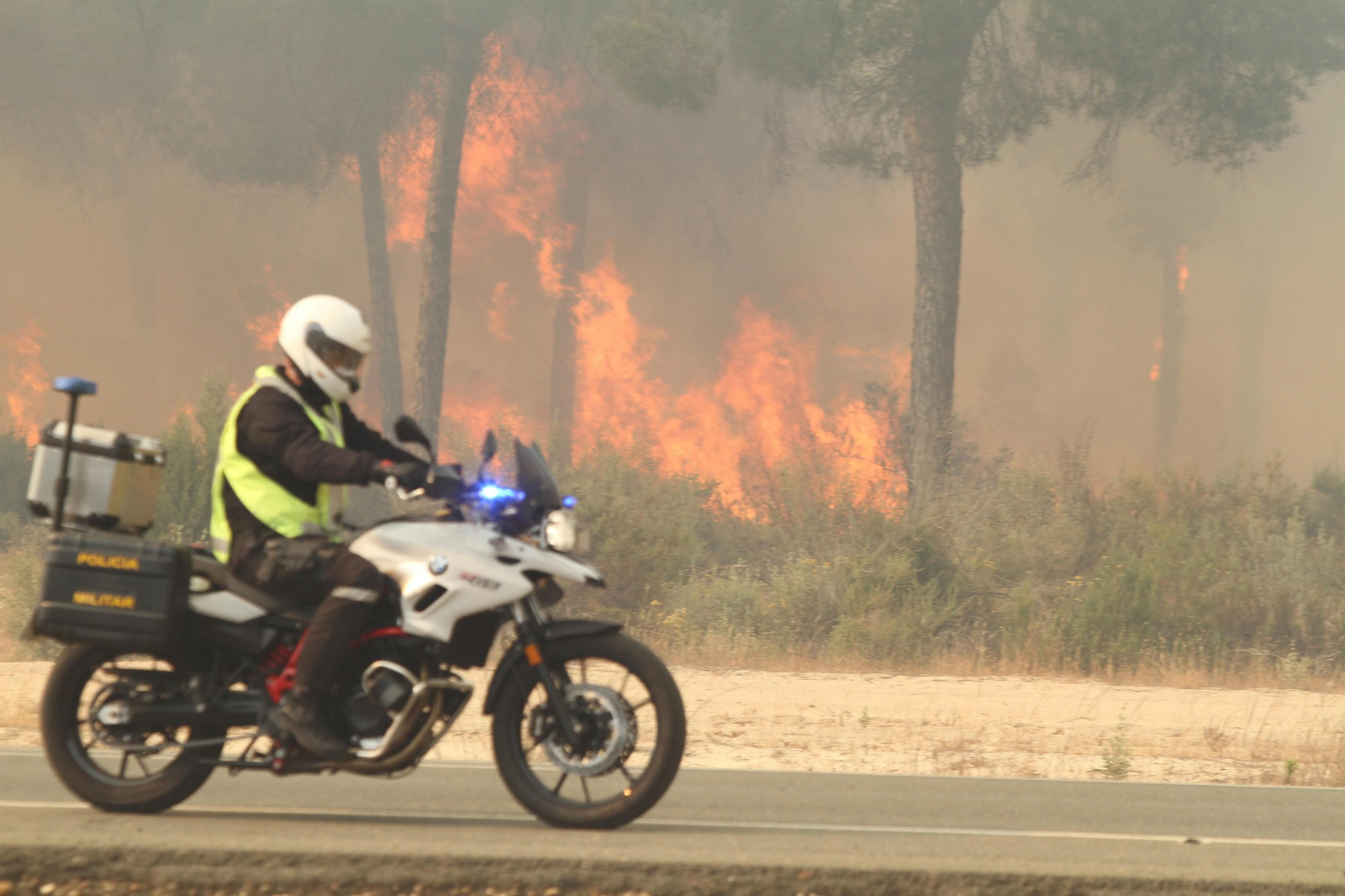 Las imágenes del incendio en Moguer y Mazagón