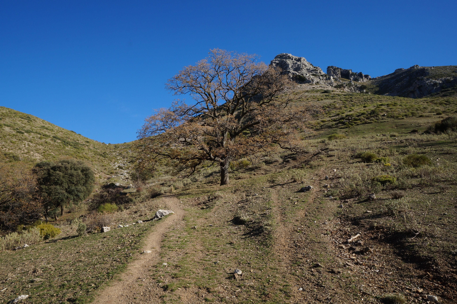 Un recorrido en fotografías de la subida a la Tiñosa, el pico más alto de Córdoba