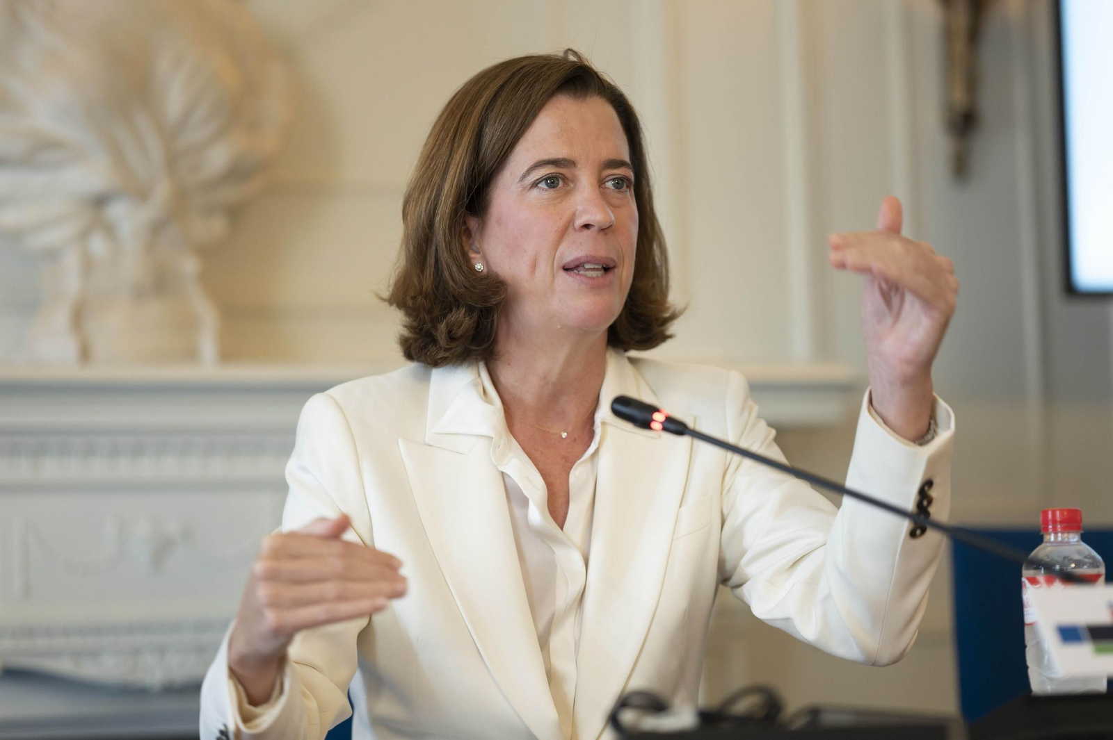 La presidenta de AEB, Aljandra Kindelán, el pasado junio en Santander. La presidenta de AEB, Aljandra Kindelán, el pasado junio en Santander.