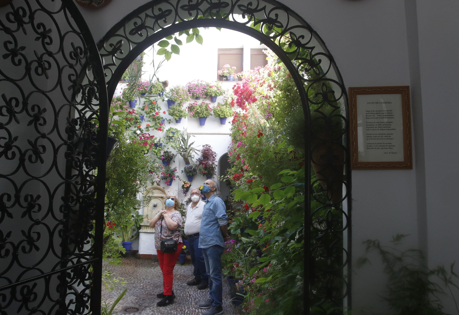 Alvar Rodríguez, 11