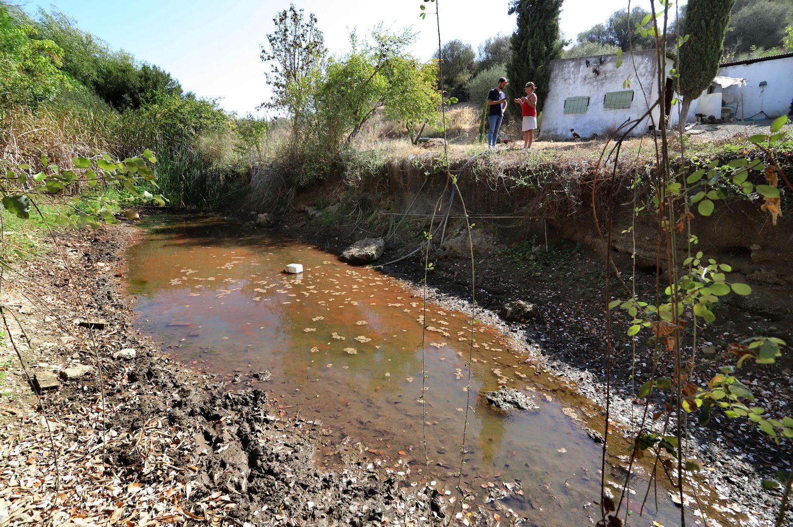 Manantial del que se abastece de agua María Nemesia.