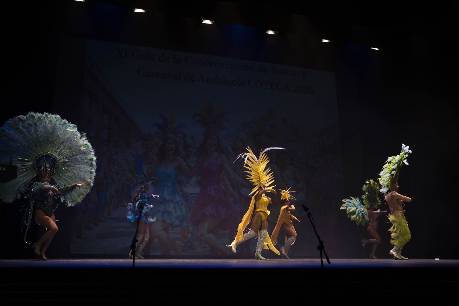 Galería de la XI Gala Coteca del Carnaval de Almería