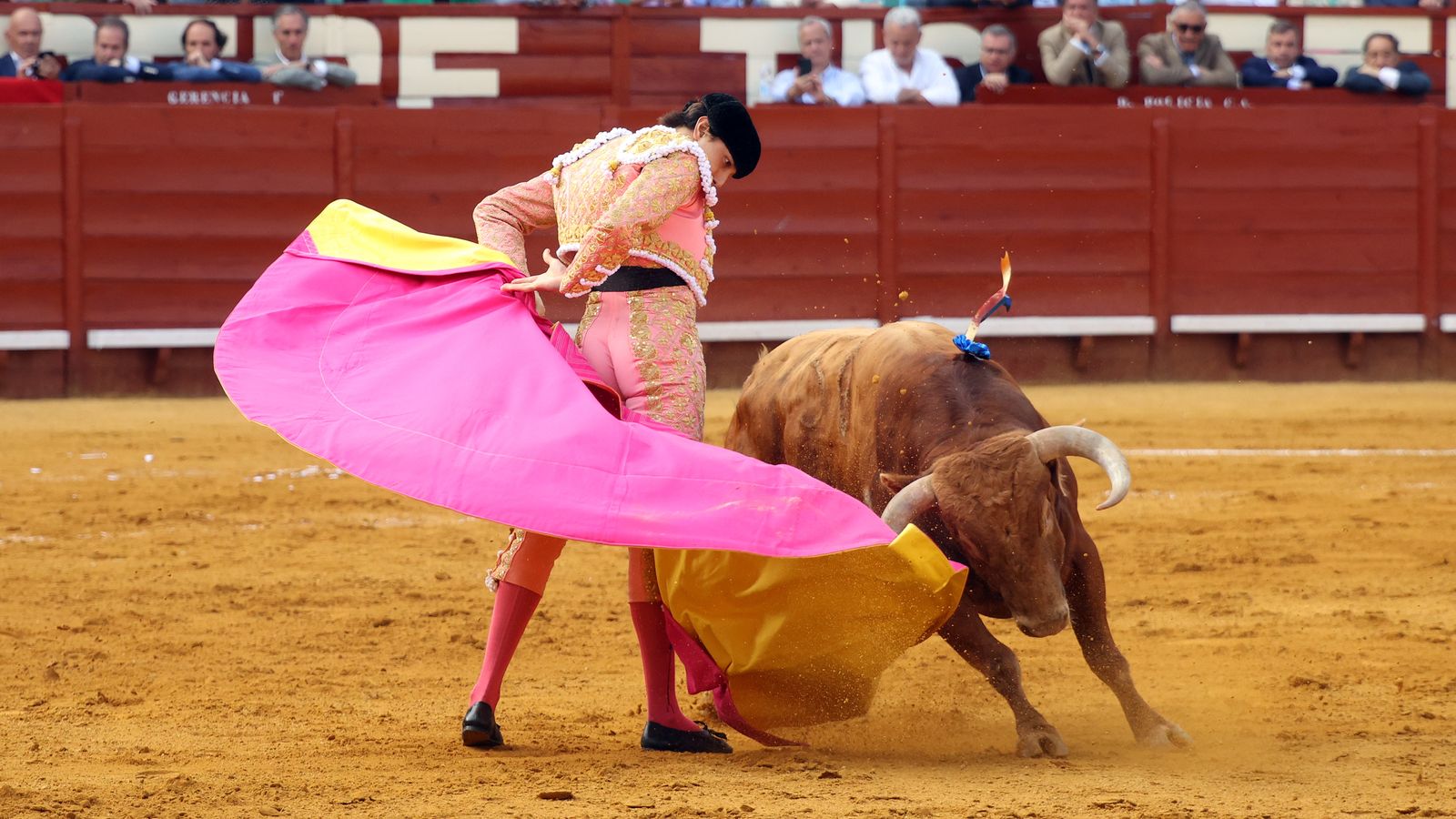 Tercera tarde de toros y última de la Feria de Jerez con Morante, Juan Ortega y Roca Rey