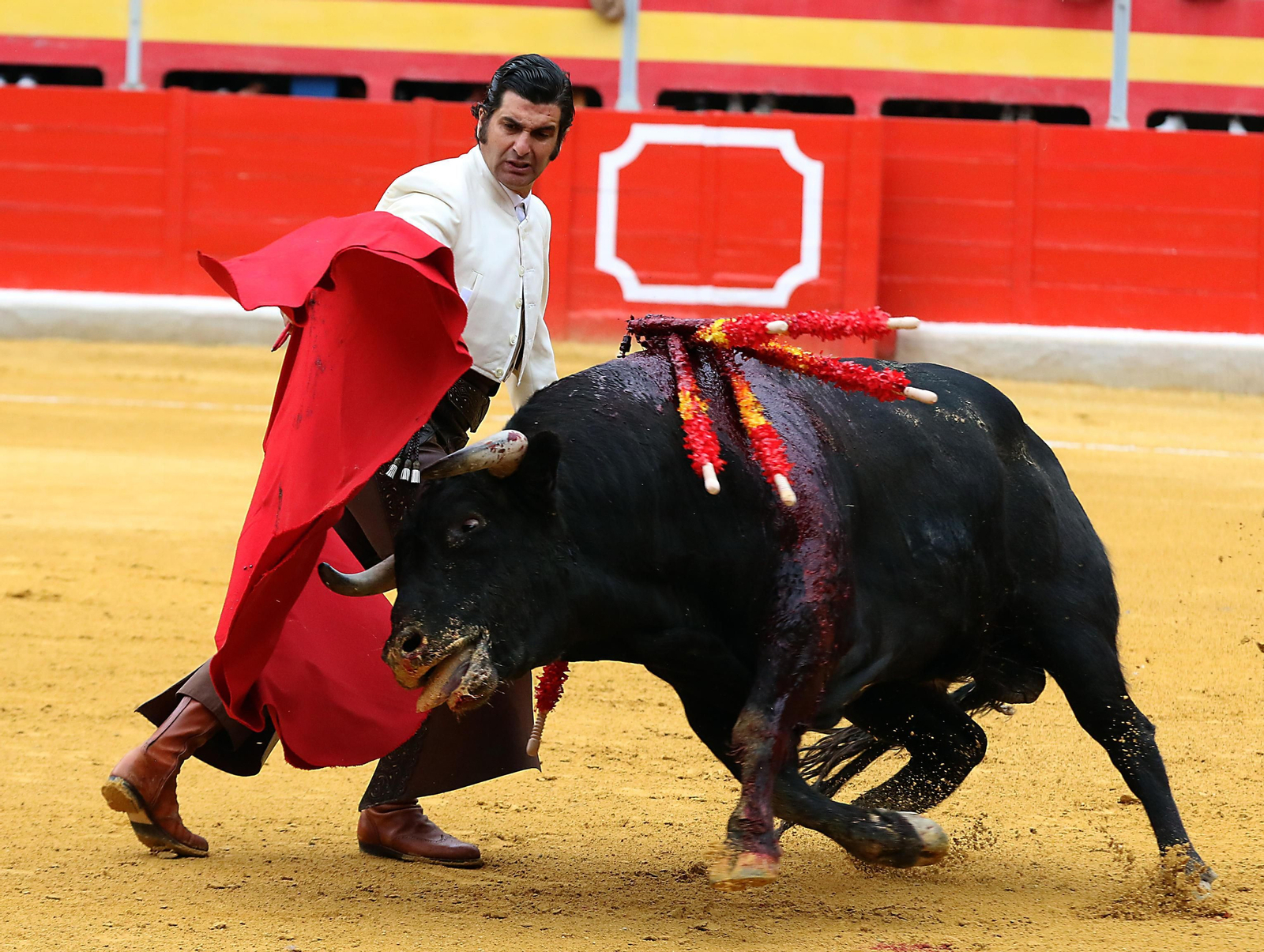 El Festival Taurino Granadown, en imágenes