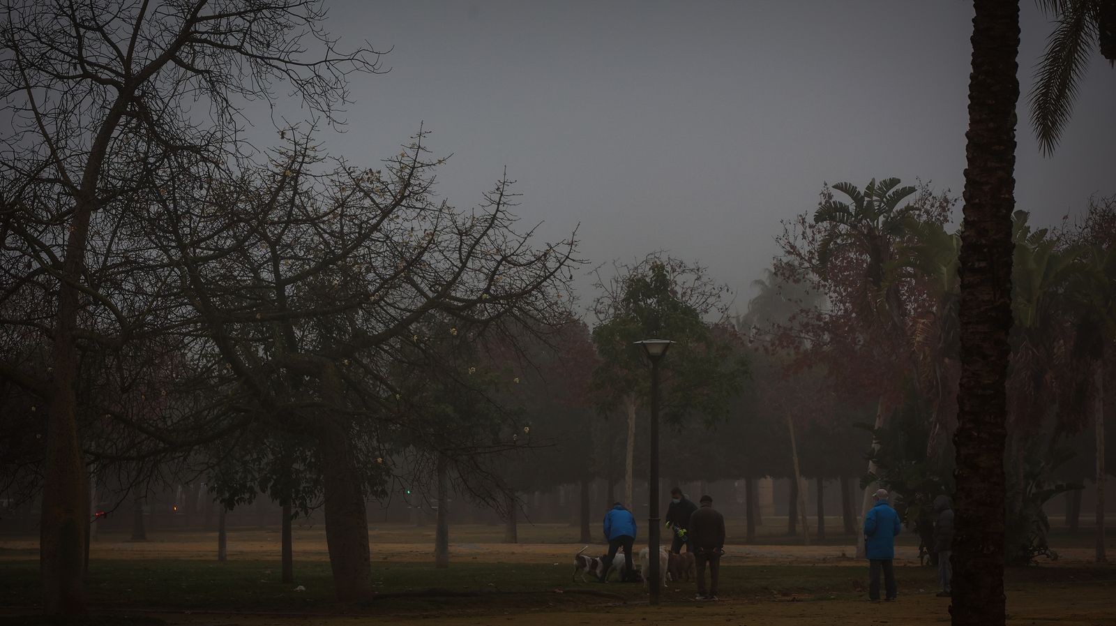 Densa niebla en Jerez