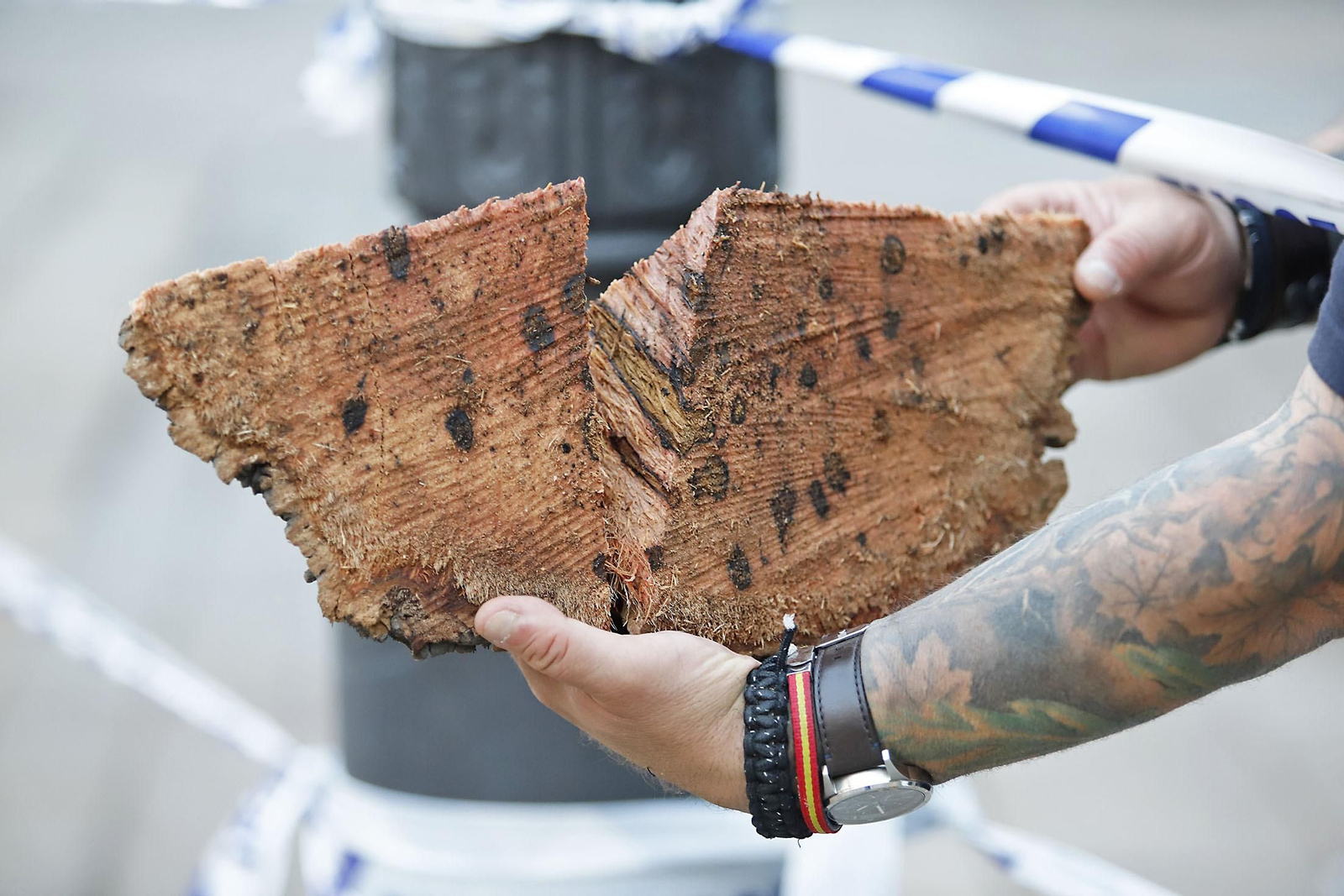 Imágenes de la tala de la emblemática Palmera de Huelva