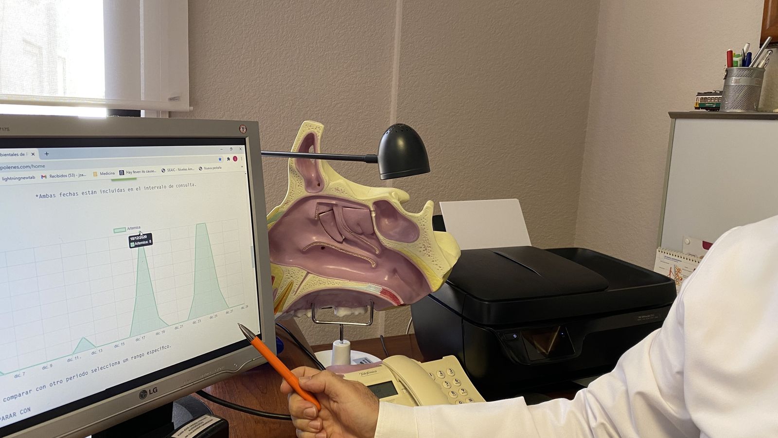 Niveles de polinización de la artemisia.