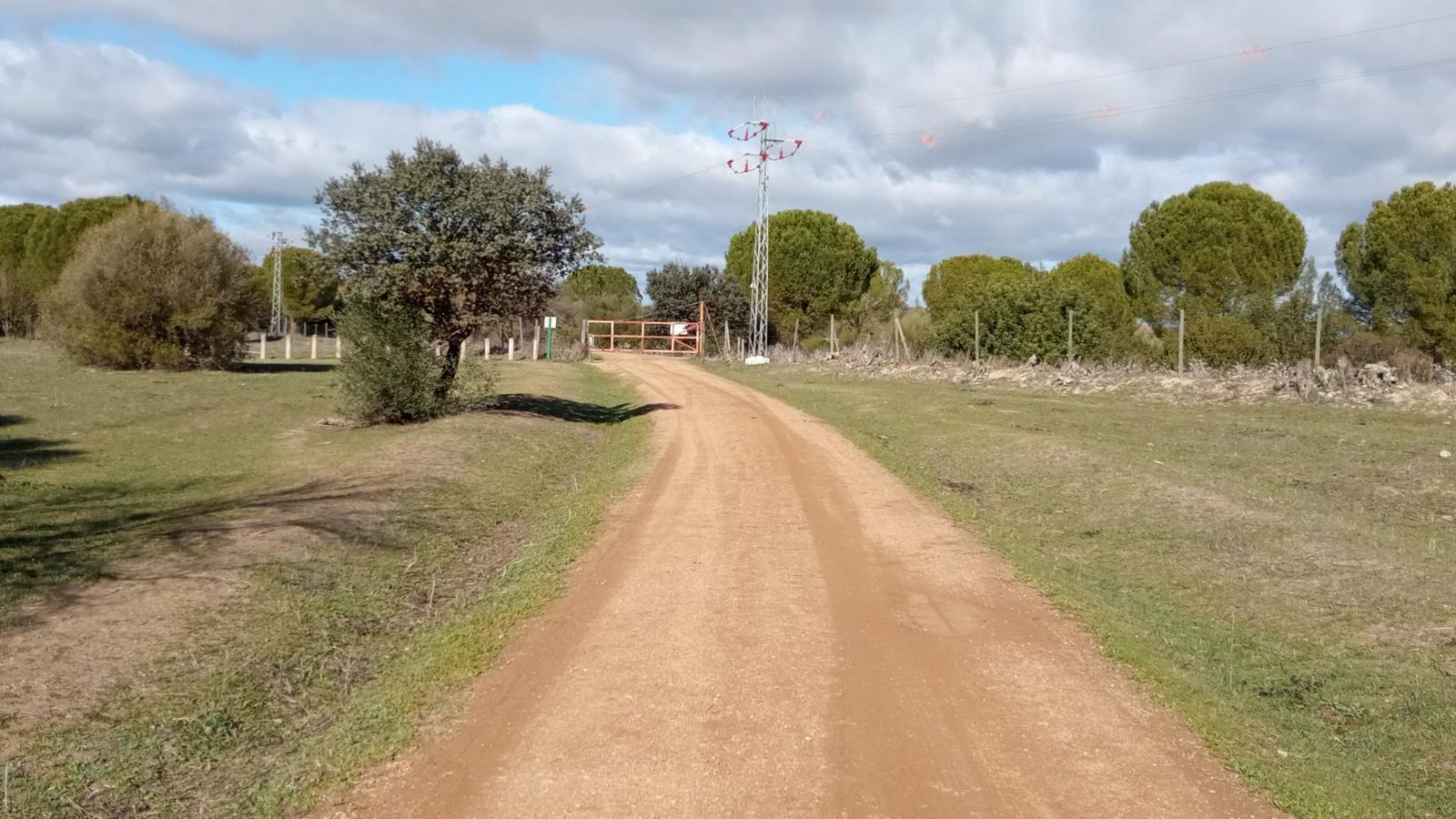 Las imágenes de la ruta ornitológica del corredor verde