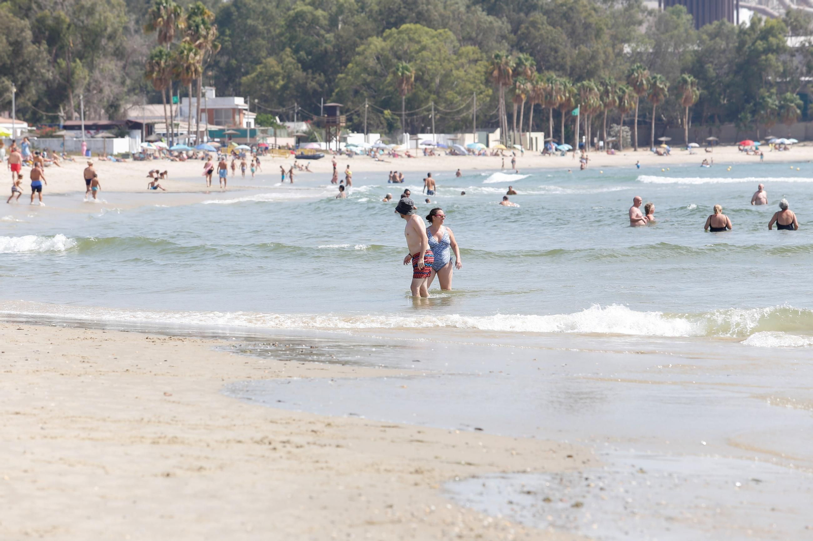 Fotos de una mañana de verano en Palmones