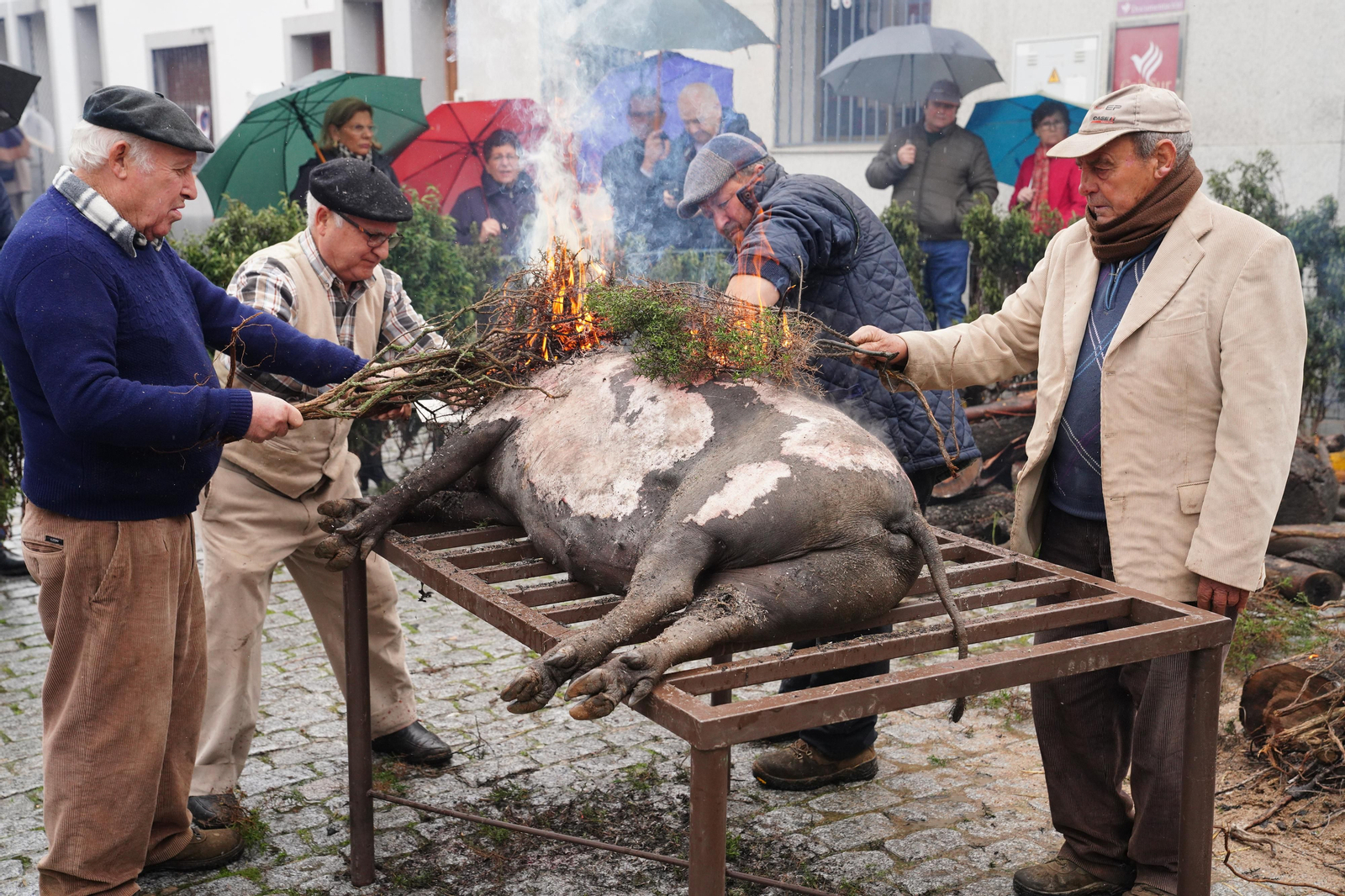 La Fiesta de la Matanza de Alcaracejos, en imágenes