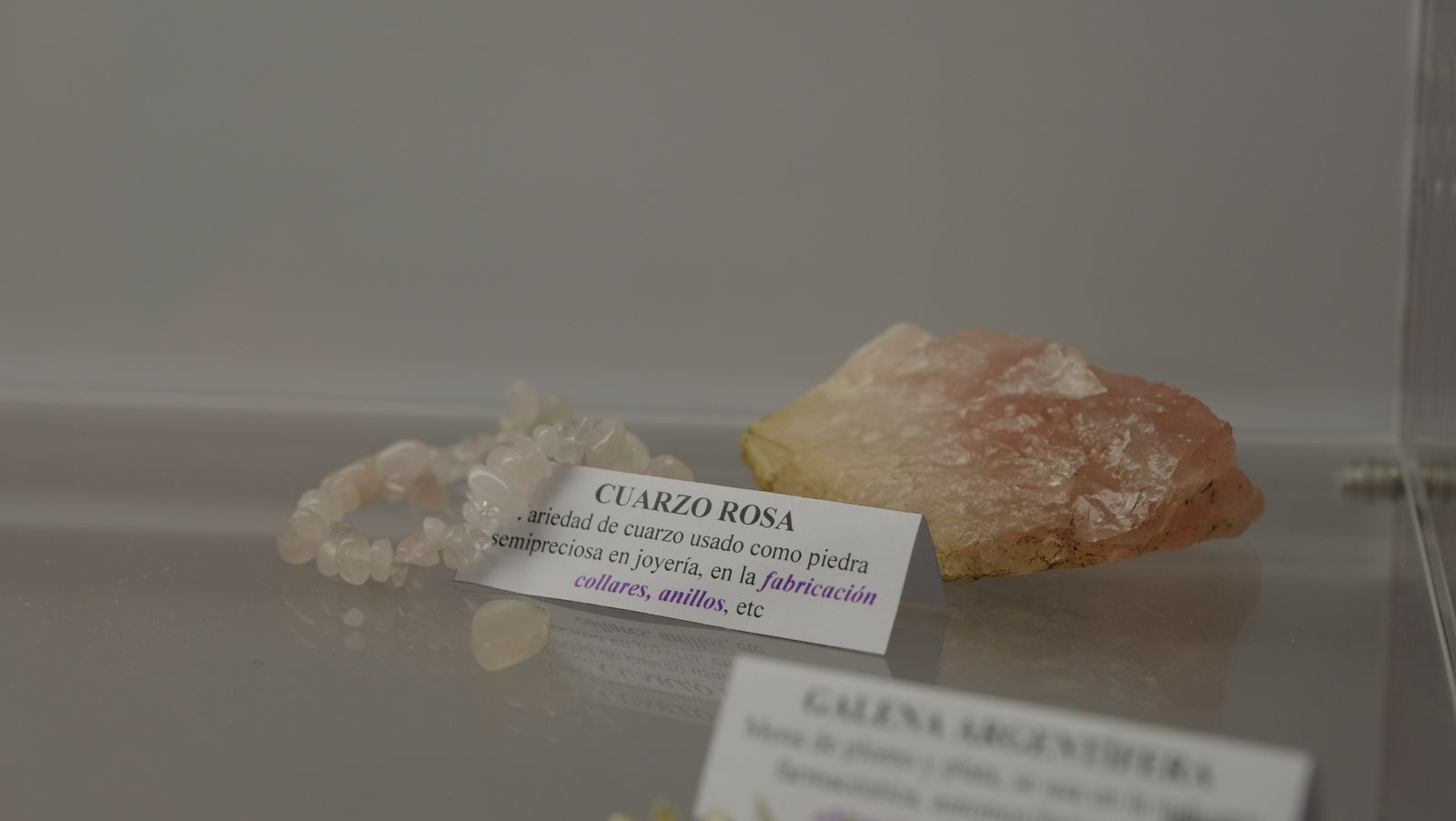 Las mejores imágenes del Pabellón de Historia Natural de la UAL