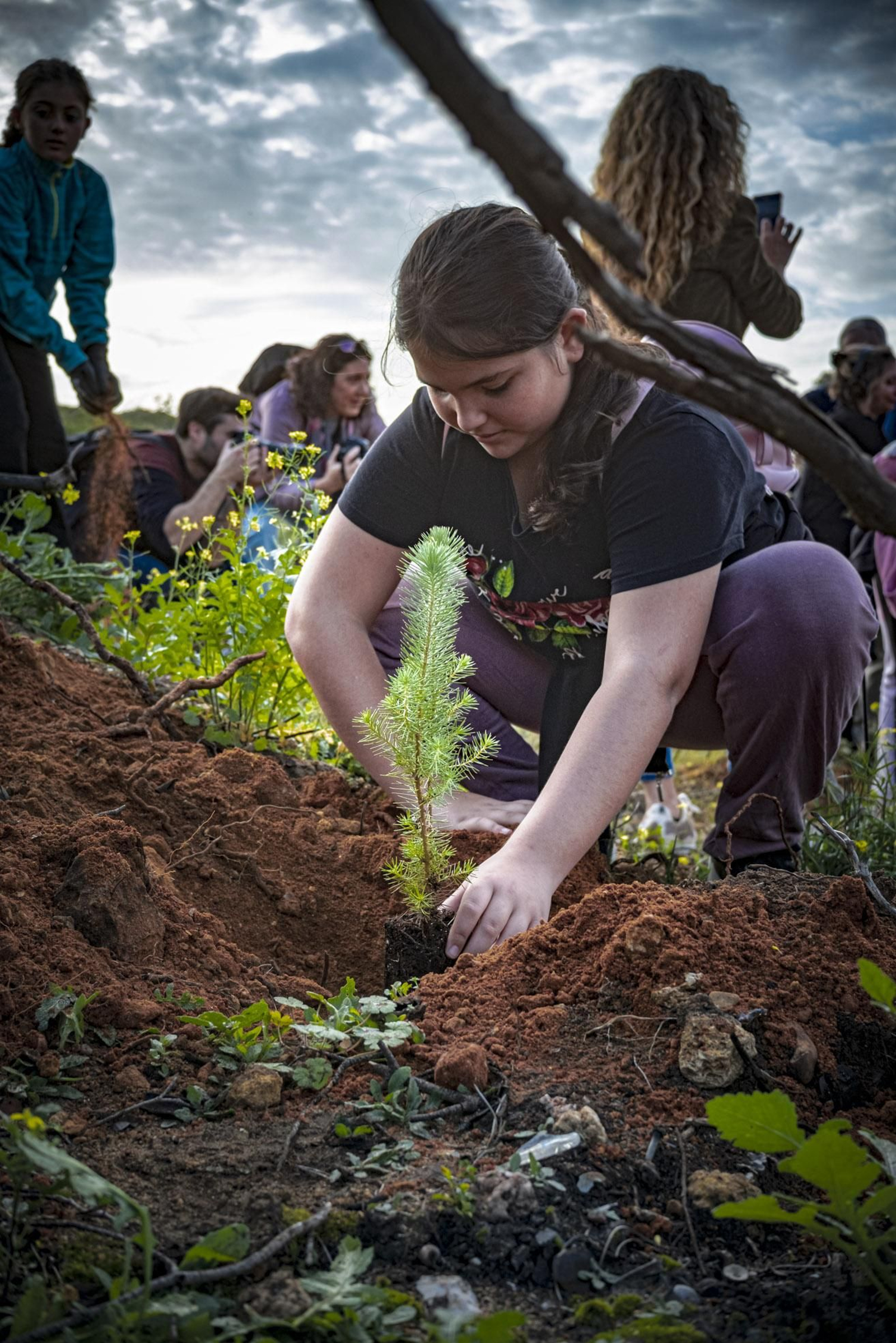 Las imágenes de escolares reforestando el pinar de Las Canteras de Puerto Real.