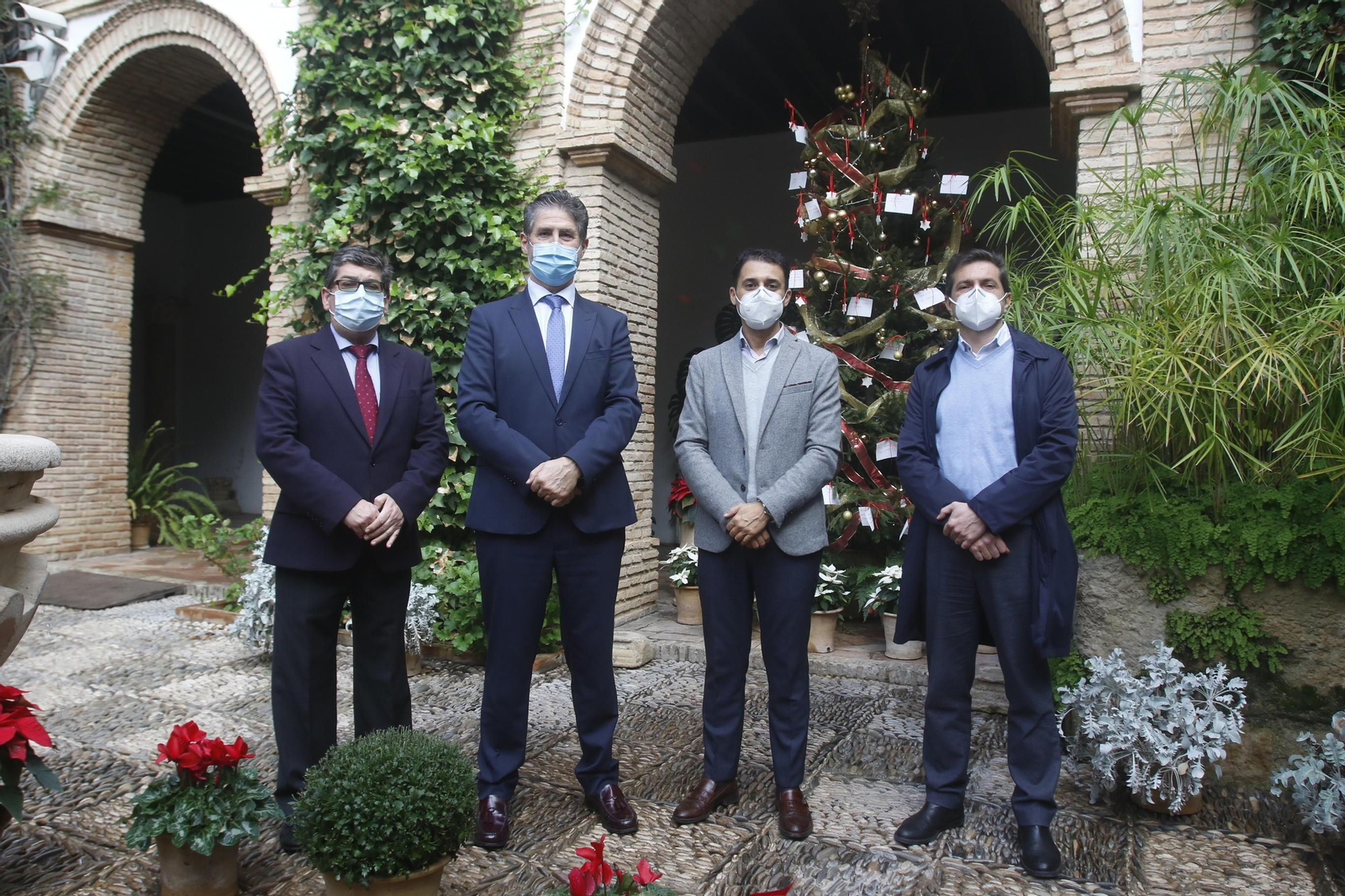 El Palacio de Viana en Navidad, en fotografías