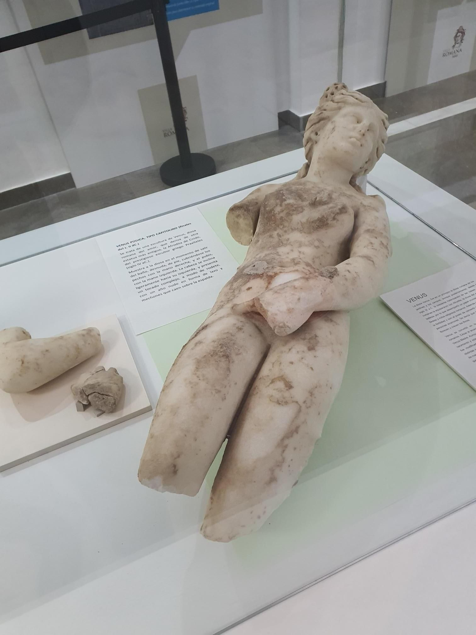 La venis púdica encontrada en la villa se encuentra en el centro de interpretación de la villa