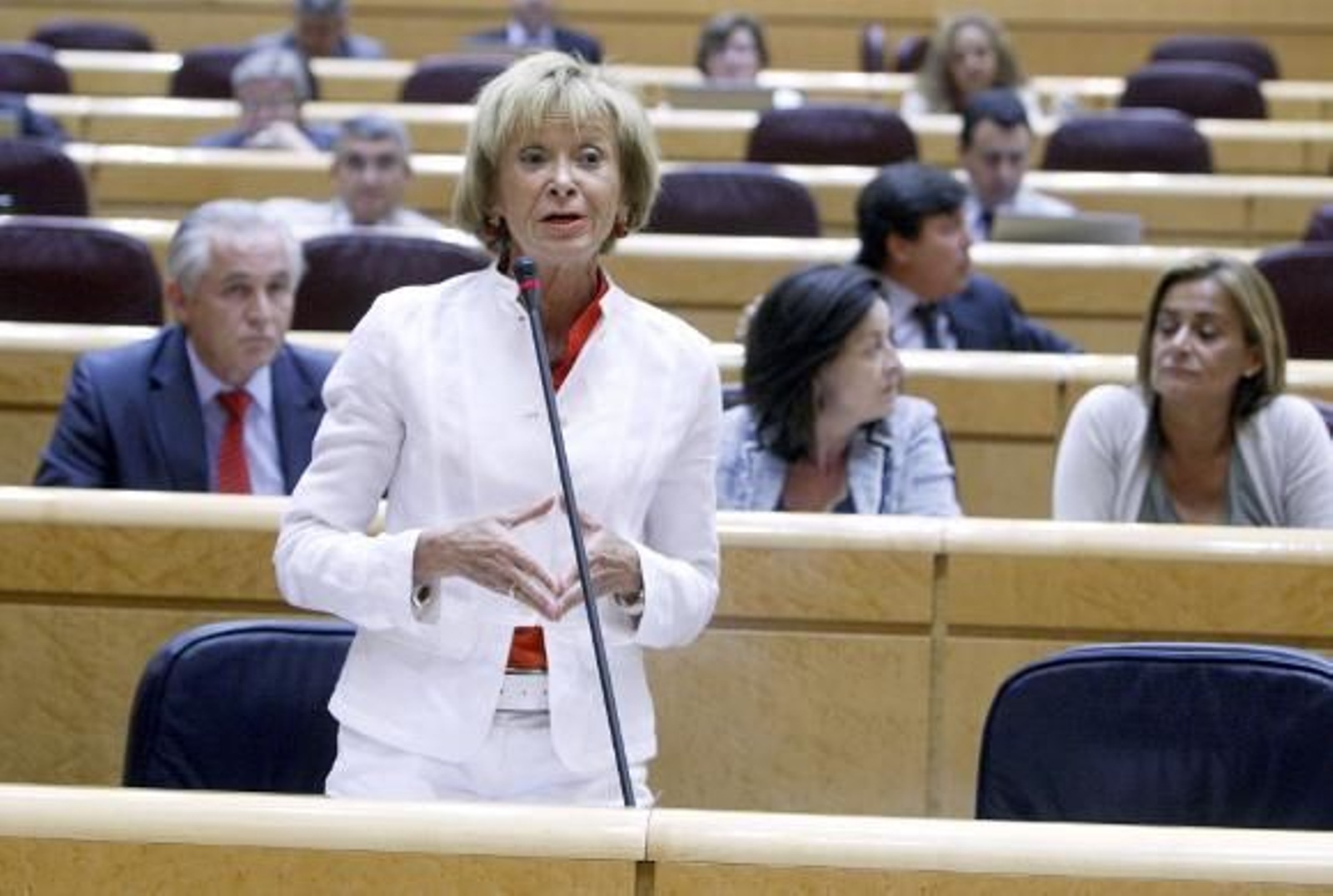 De la Vega defiende que Chávez ha sido "muy claro" en su disposición a cooperar