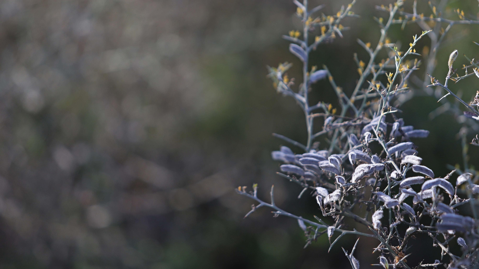 Las mejores fotos de la Senda de los Prisioneros en Algeciras