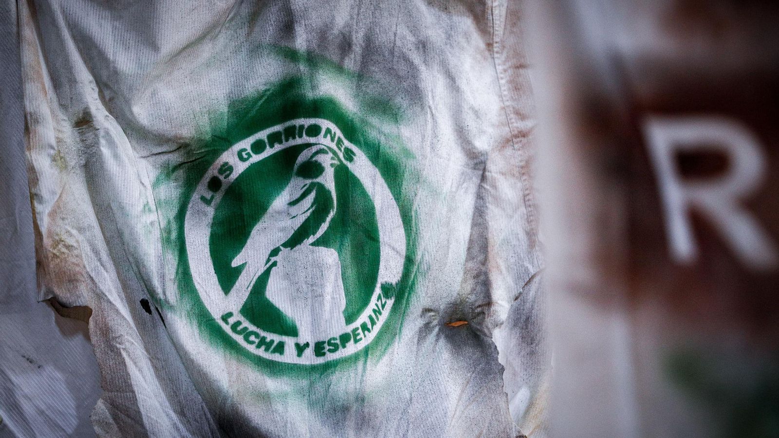 Búscate entre las mejores imágenes de la séptima sesión preliminares del COAC 2025