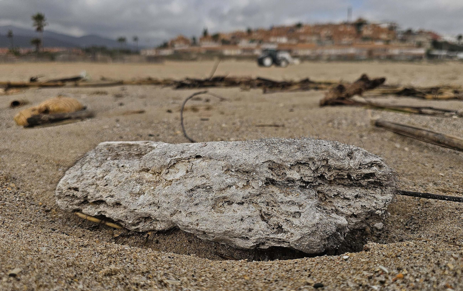 Fotos de la limpieza de las bolas blancas en la playa de Getares en Algeciras