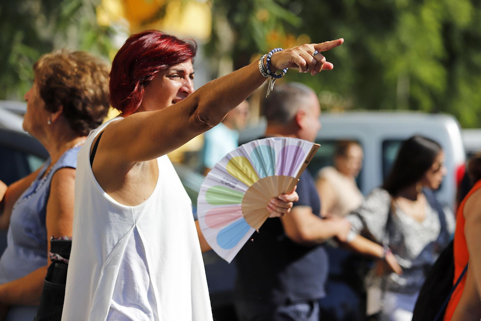 Imágenes de la procesión de San Francisco de Asís por las calles de Pérez Cubillas