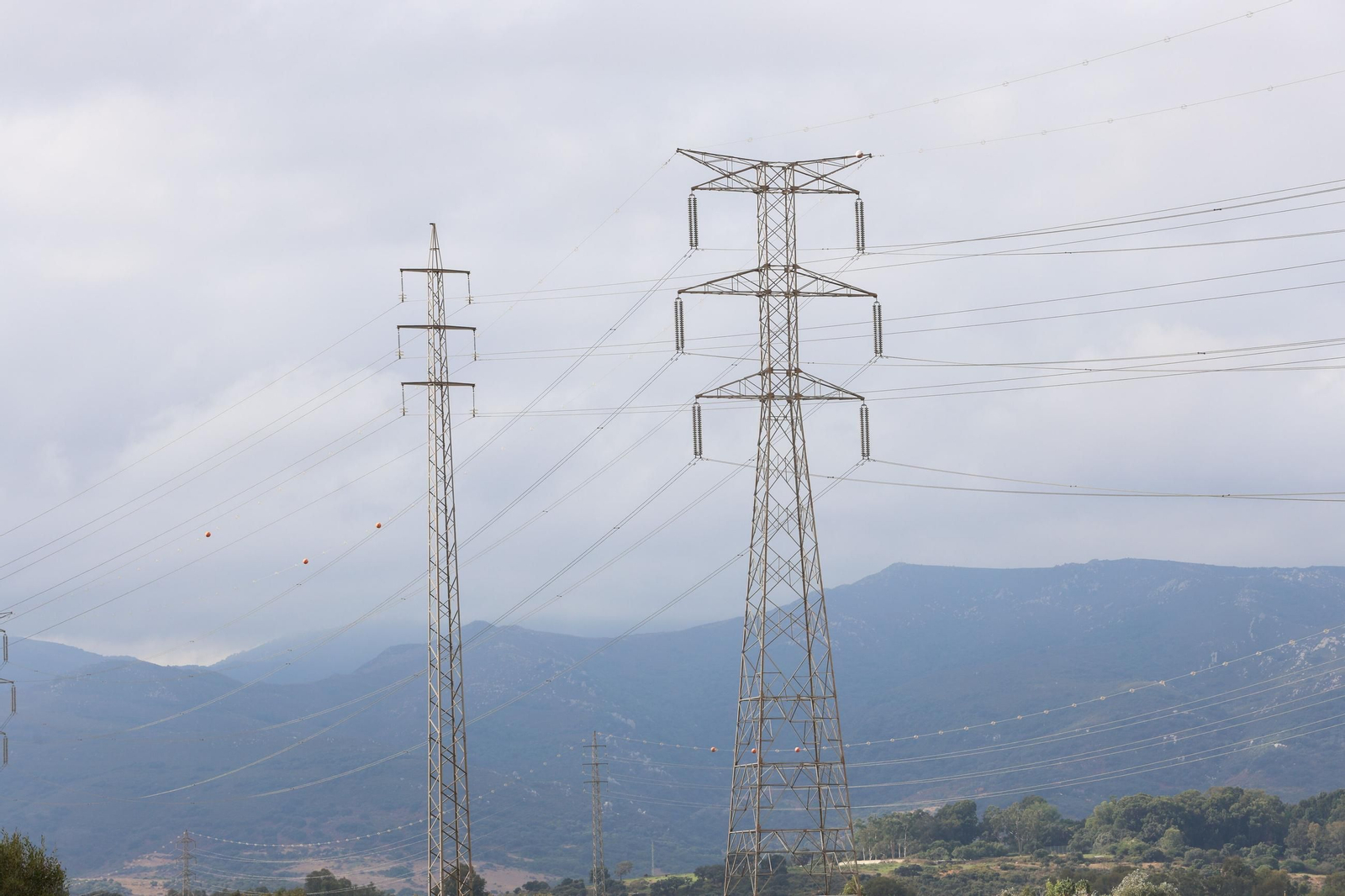Tendidos eléctricos en el Campo de Gibraltar