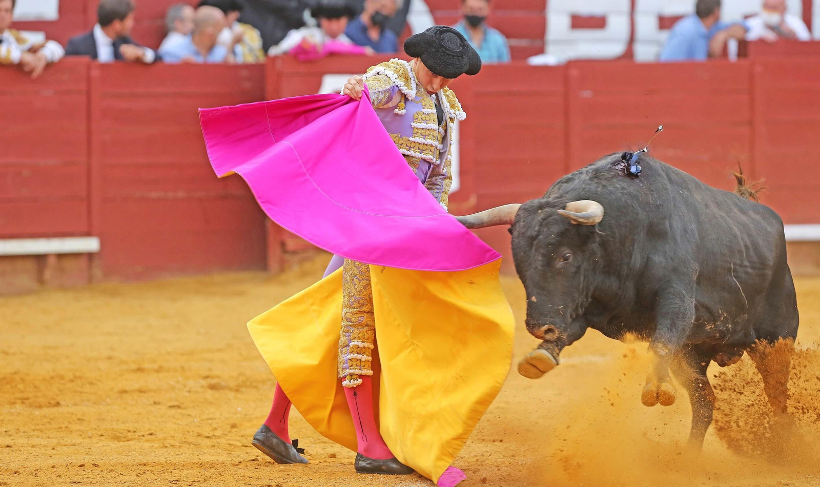 Imágenes de la vuelta de los toros a Jerez Imágenes de la vuelta de los toros a Jerez