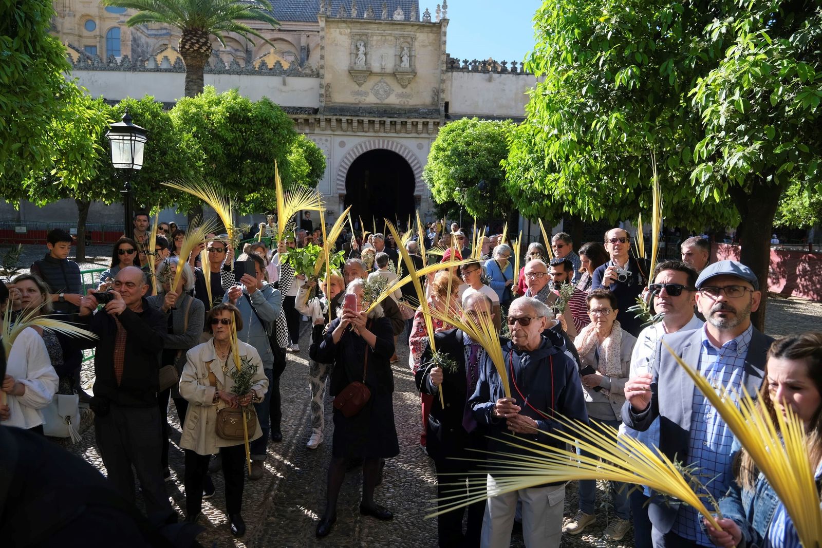 Domingo de Ramos en Córdoba 2023: la misa de la bendición de las palmas en la Catedral, en imágenes