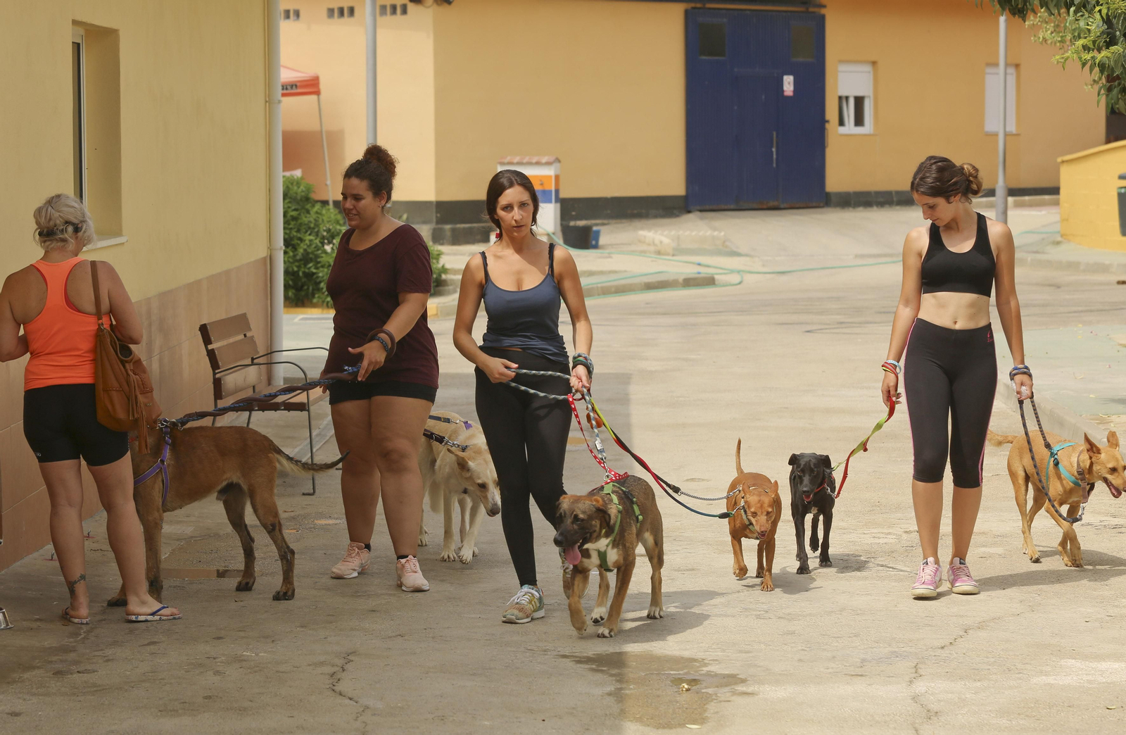 Las fotos de los animales de la Protectora de Málaga Las fotos de los animales de la Protectora de Málaga
