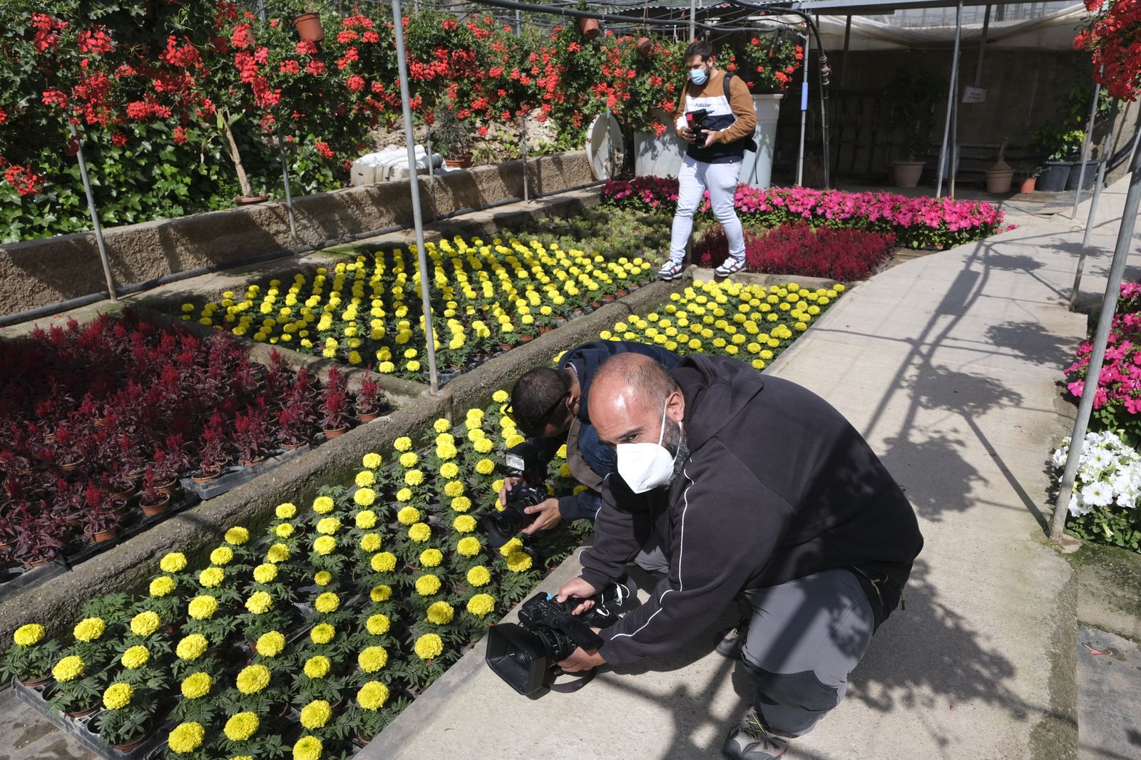 Fotogalería de la visita al vivero municipal de Almería.