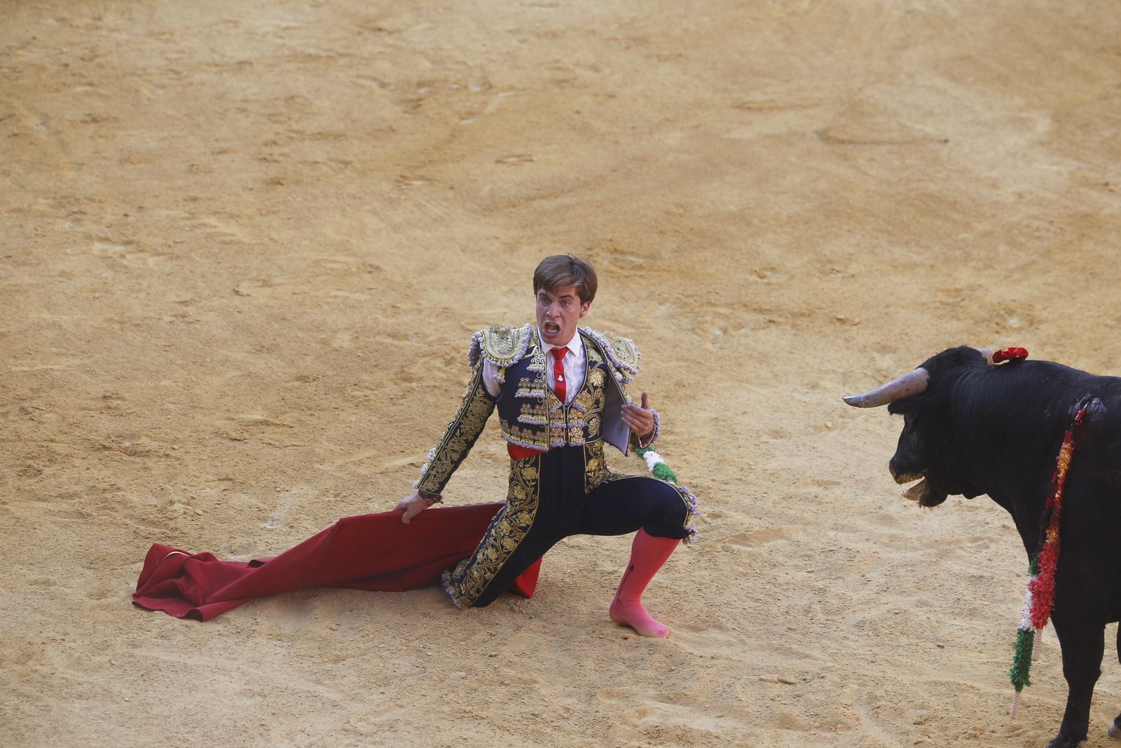 Fotogalería novillada Escuela Taurina de Almería. Feria de Almería 2019