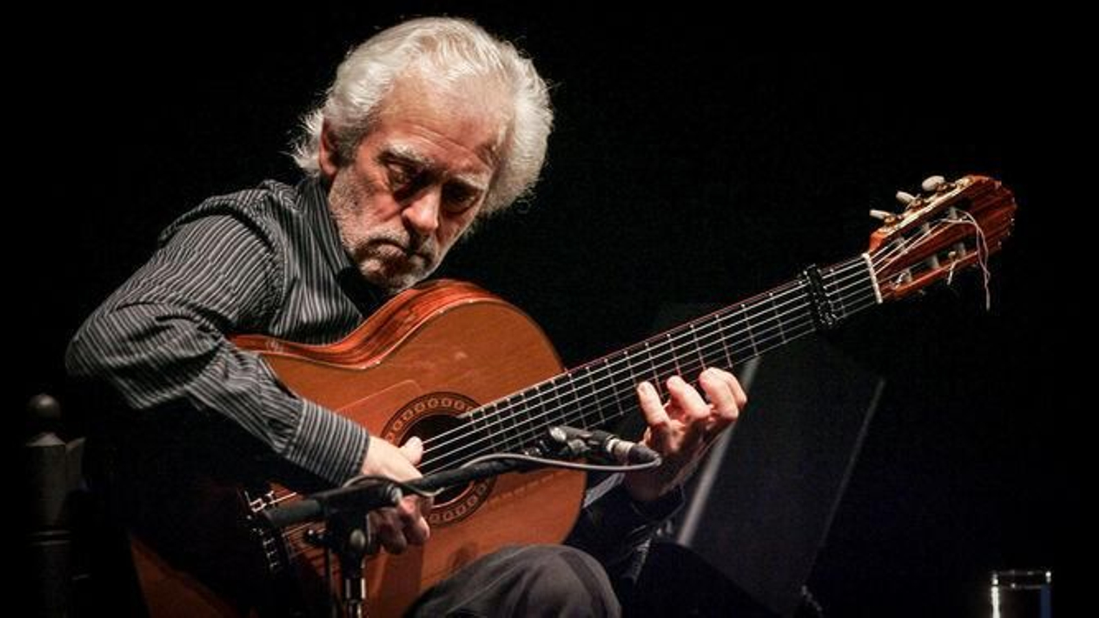 El tocaor en un recital.