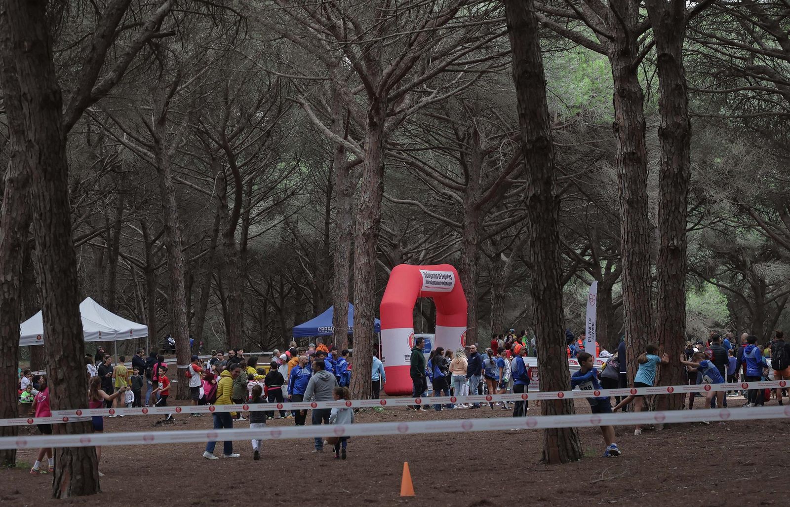 Búscate en el V Cross Pinar del Rey en San Roque