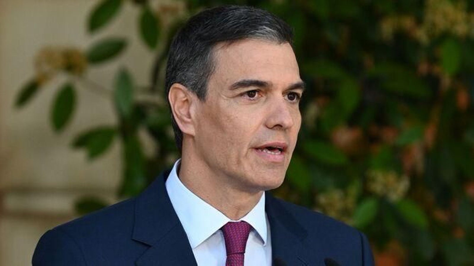 Pedro Sánchez en su comparecencia