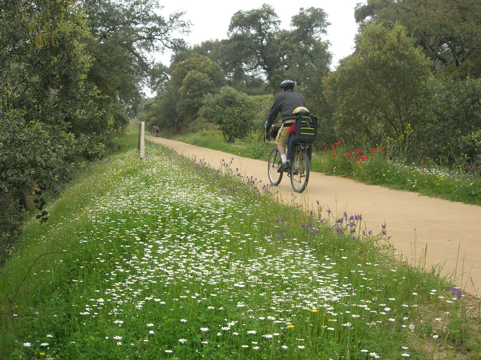 Ciclista en la Vía Verde de la Sierra Norte de Sevilla.
