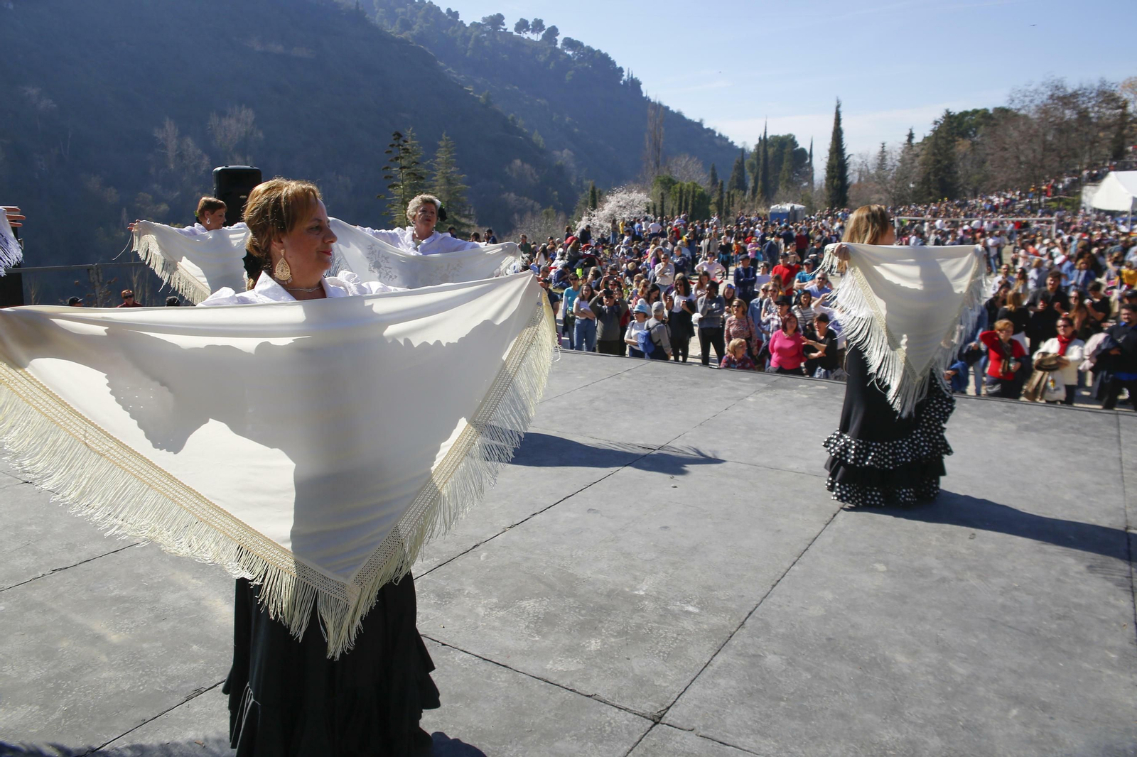Las mejores imágenes de San Cecilio