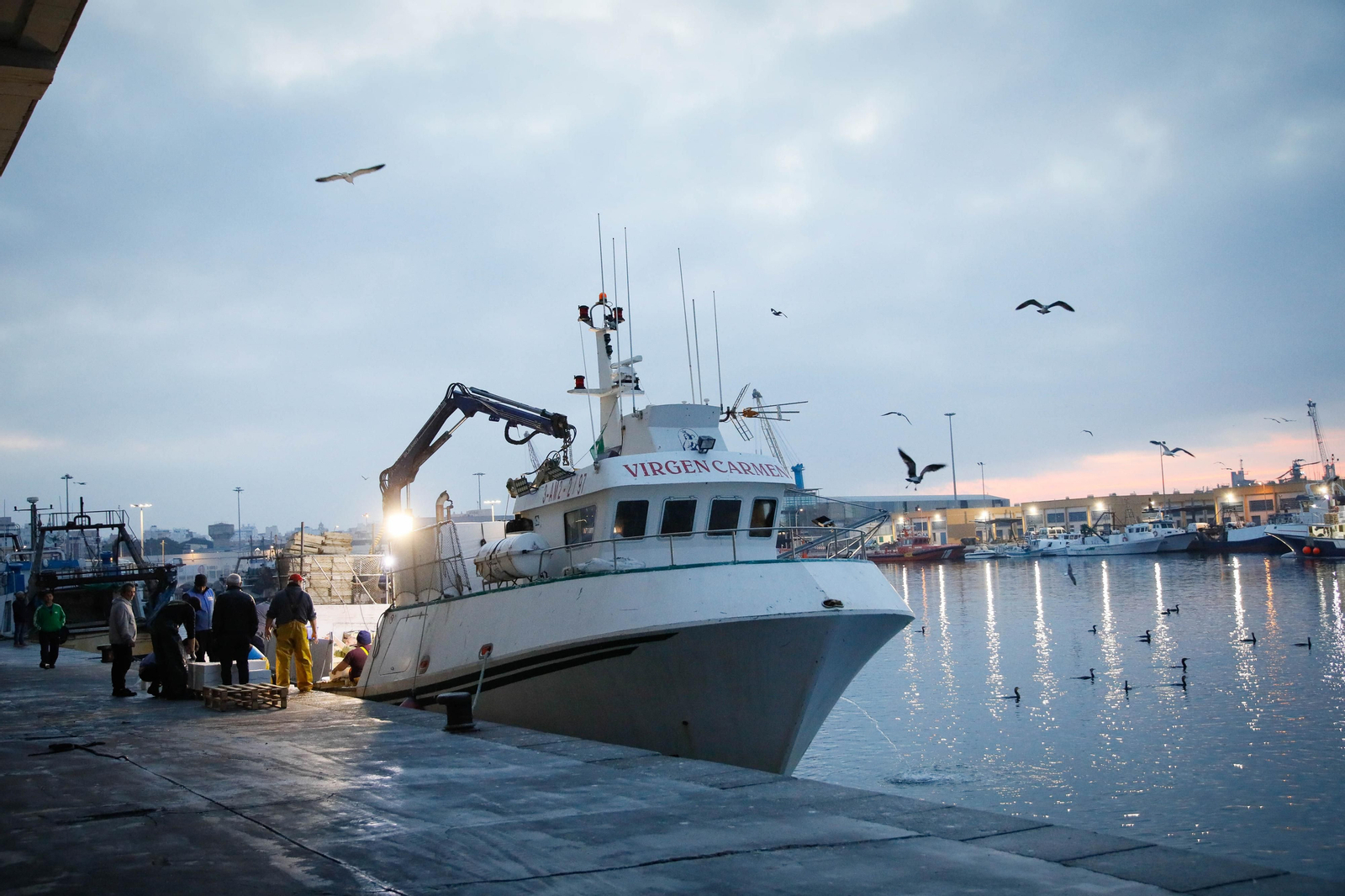 Te contamos en imágenes como ha sido la descarga de las traiñas en la lonja de Almería