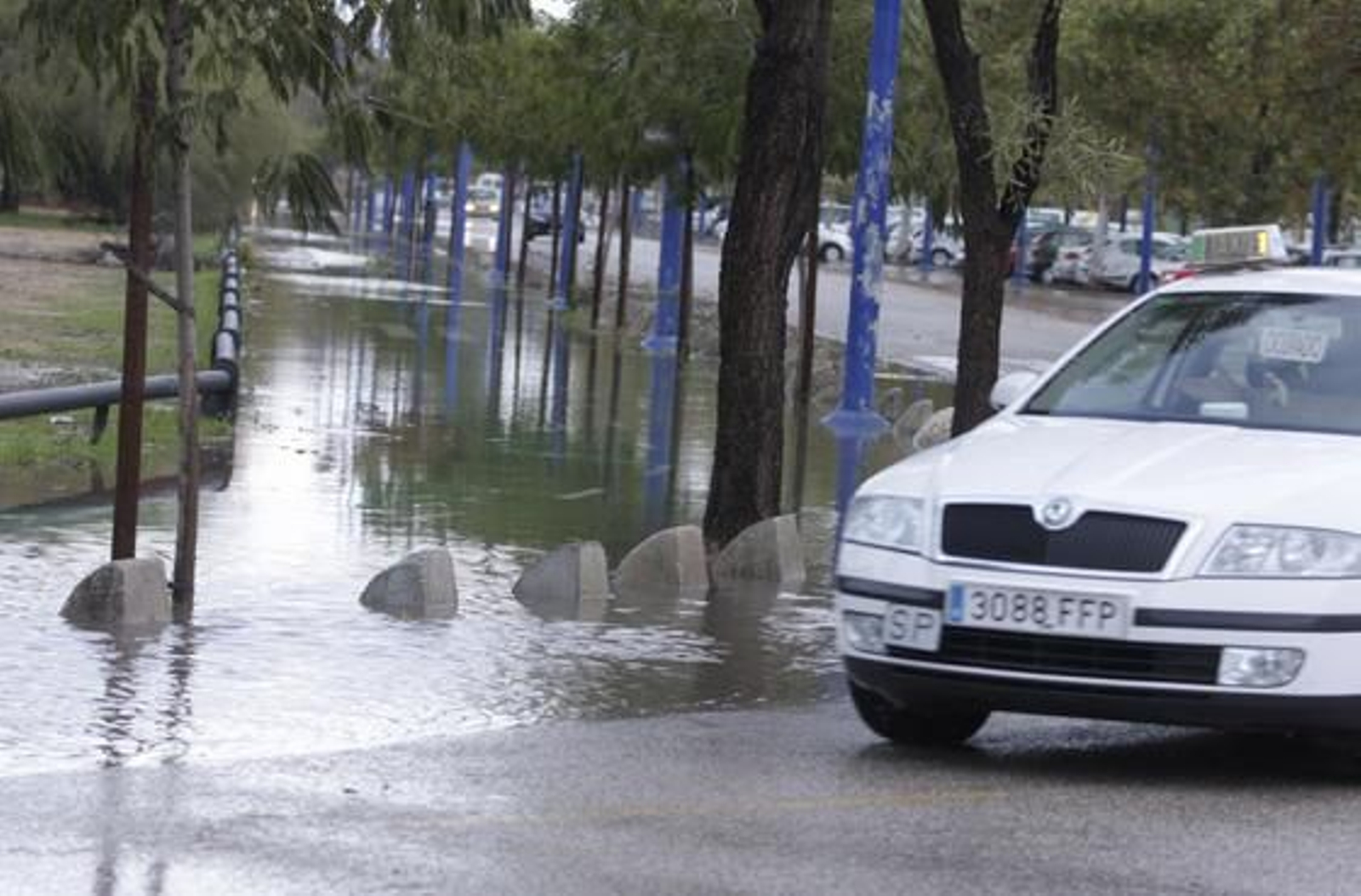 Imagen de una calle de la Cartuja.

Foto: Victoria Hidalgo/Jaime Martínez