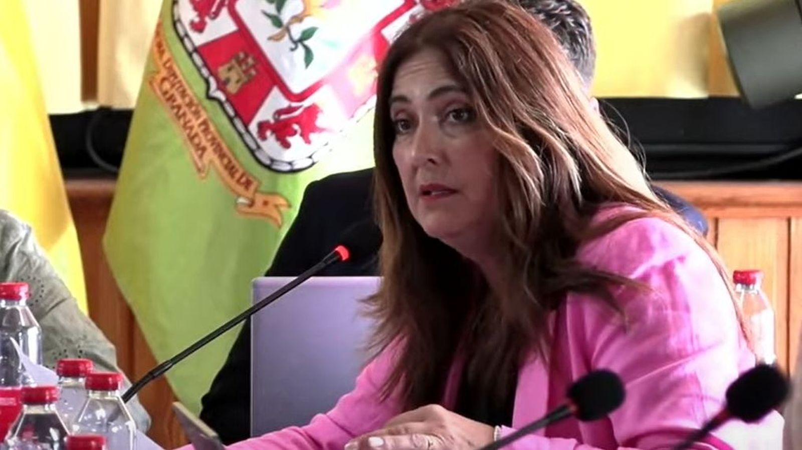 La diputada socialista Remedios Gámez durante el pleno