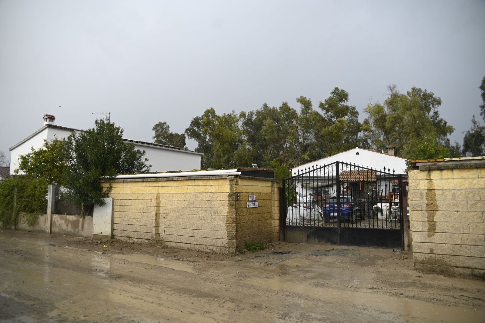 Parcelas de Guadalvalle siguen anegadas por el barro un mes después de las inundaciones