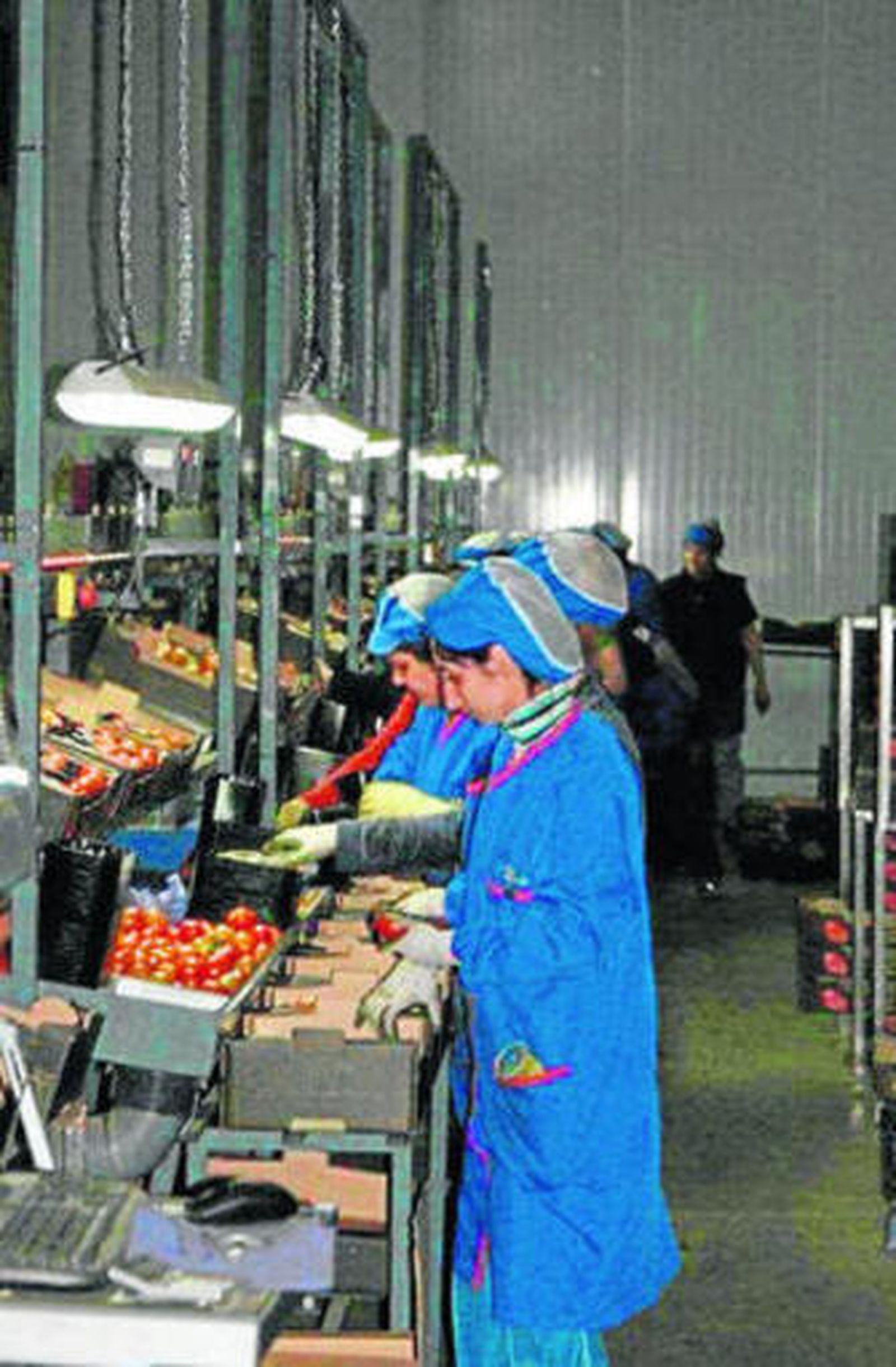 Instalaciones de Brillante Hortícola en La Cañada.