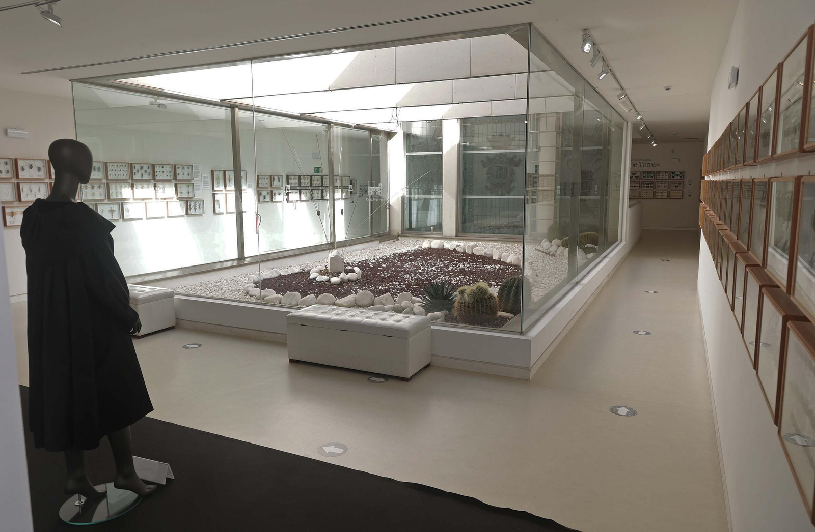 Fotos del Museo Cruz Herrera de La Línea