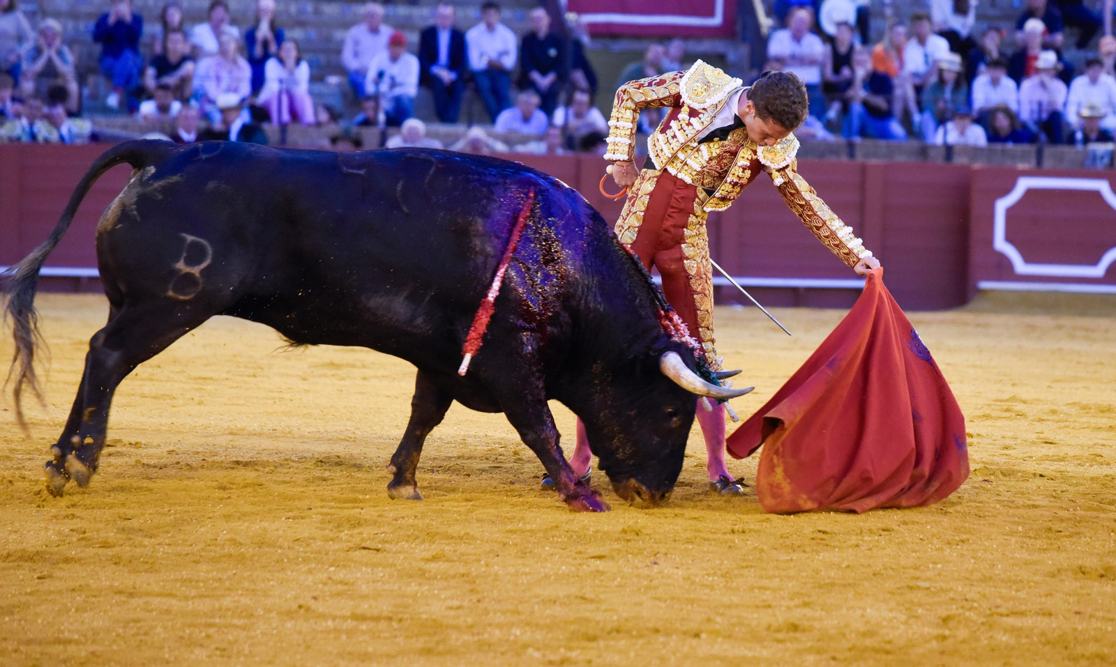 La segunda del abono de la Real Maestranza, en imágenes