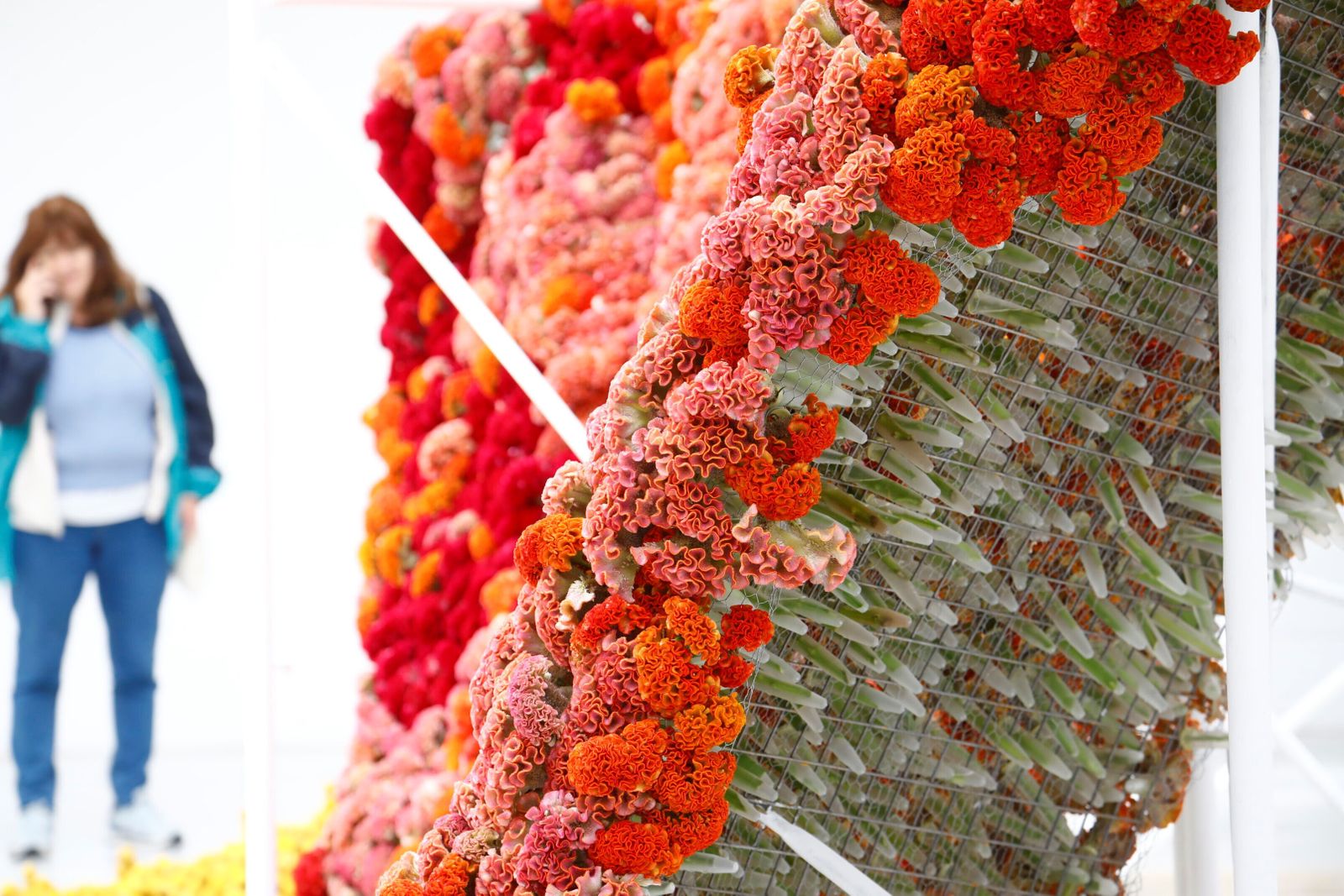 Arranca Flora 2023: estas son las mejores imágenes