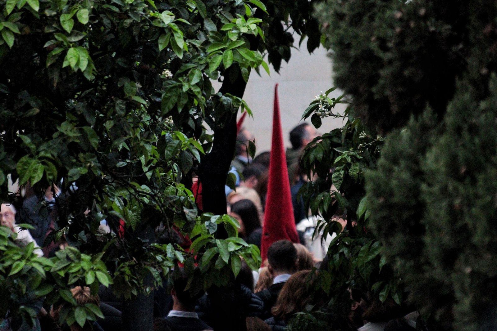 Estudiantes en el Lunes Santo en Málaga, en fotos